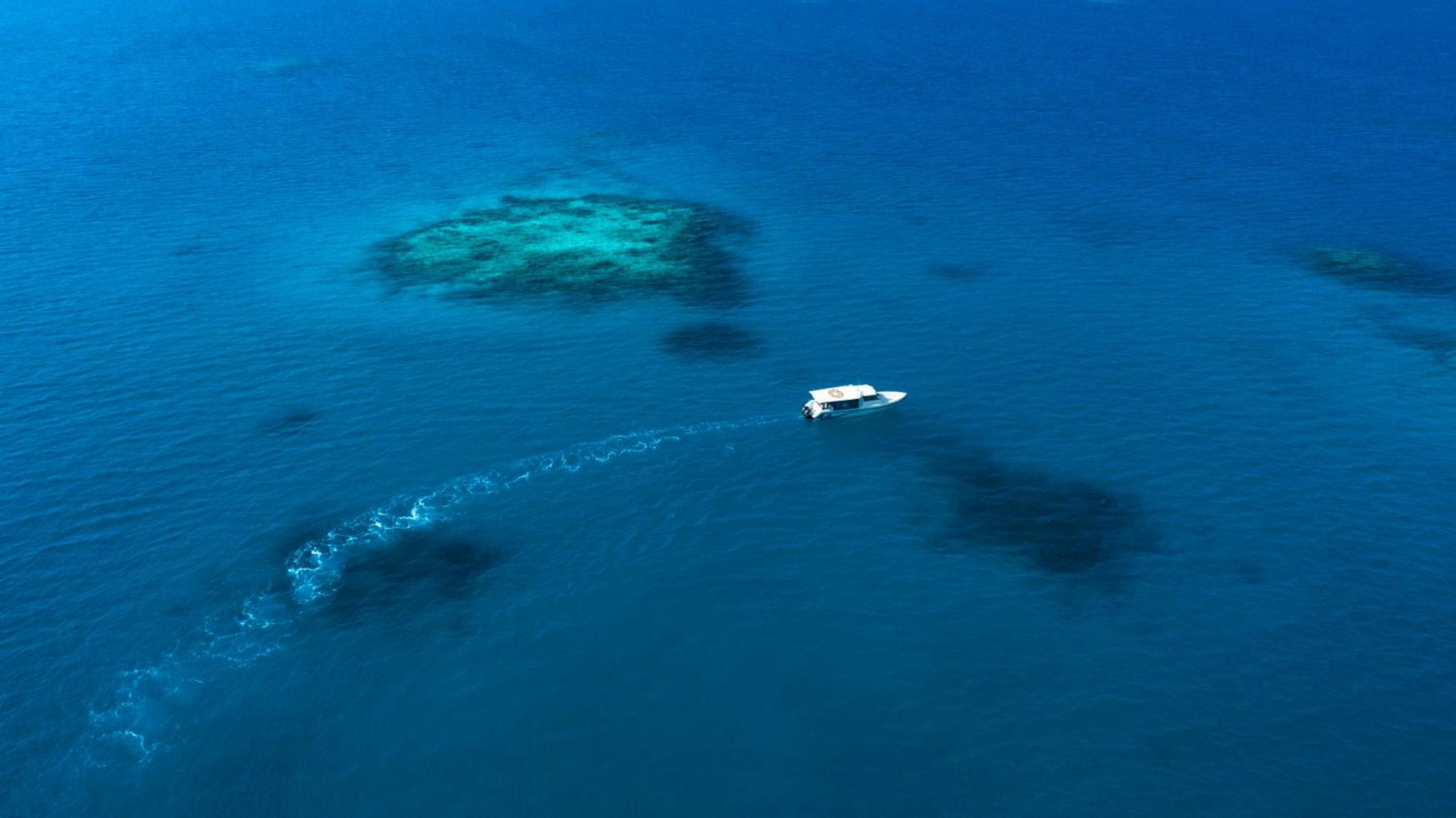 Taj Exotica Resort & Spa, Maldives - View 62