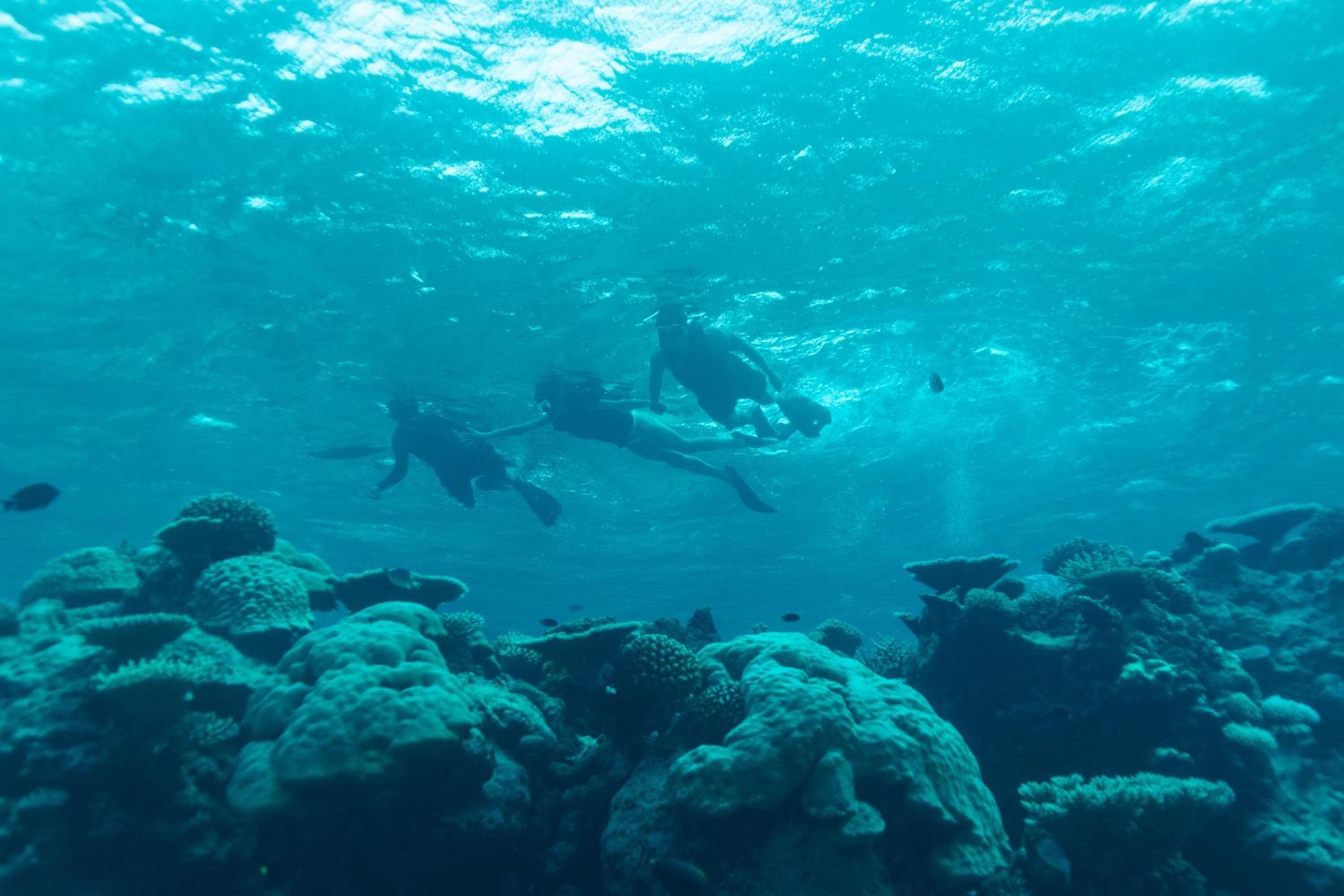 Park Hyatt Maldives Hadahaa - View 252