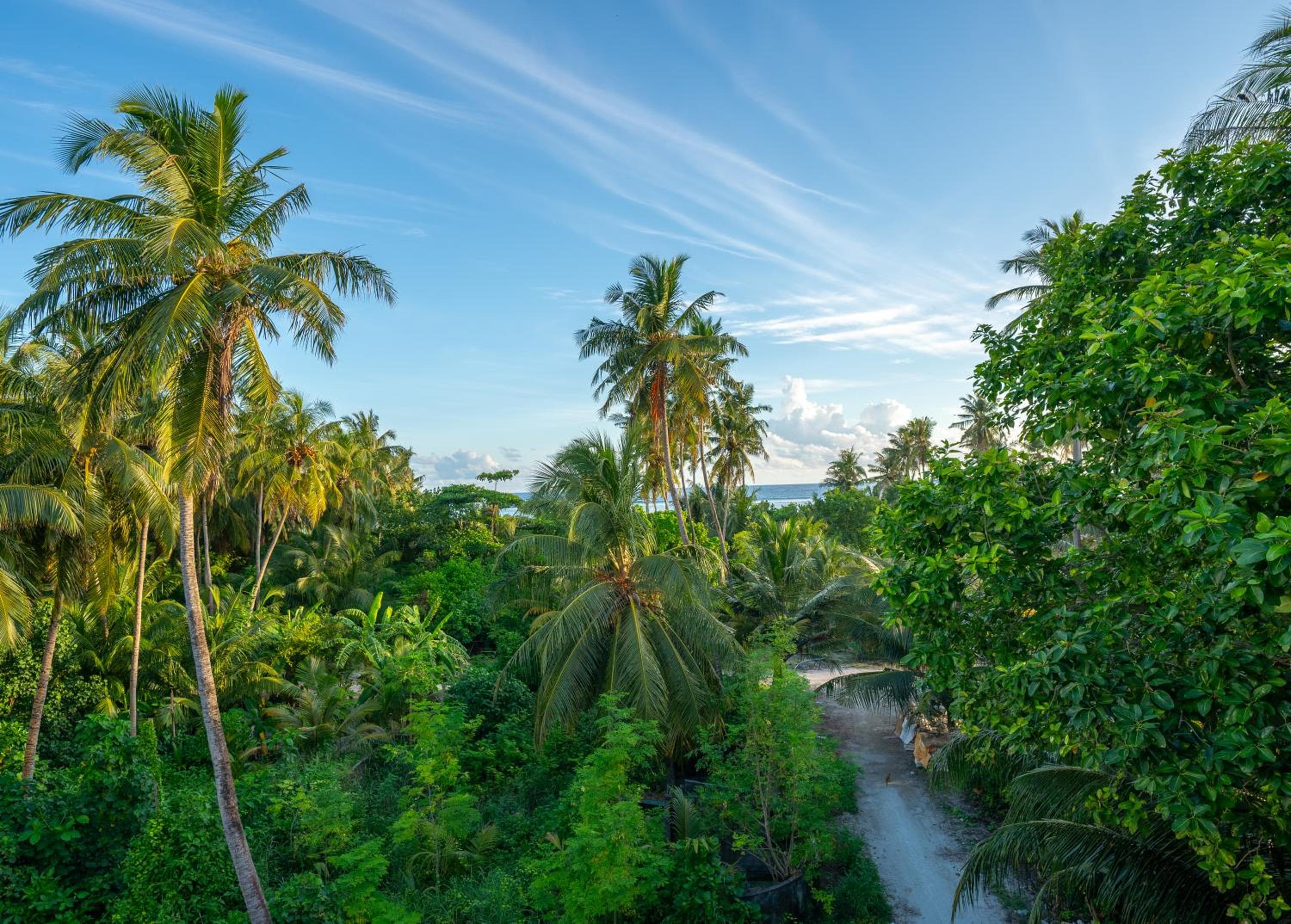 Whale Shark Boutique - View 22