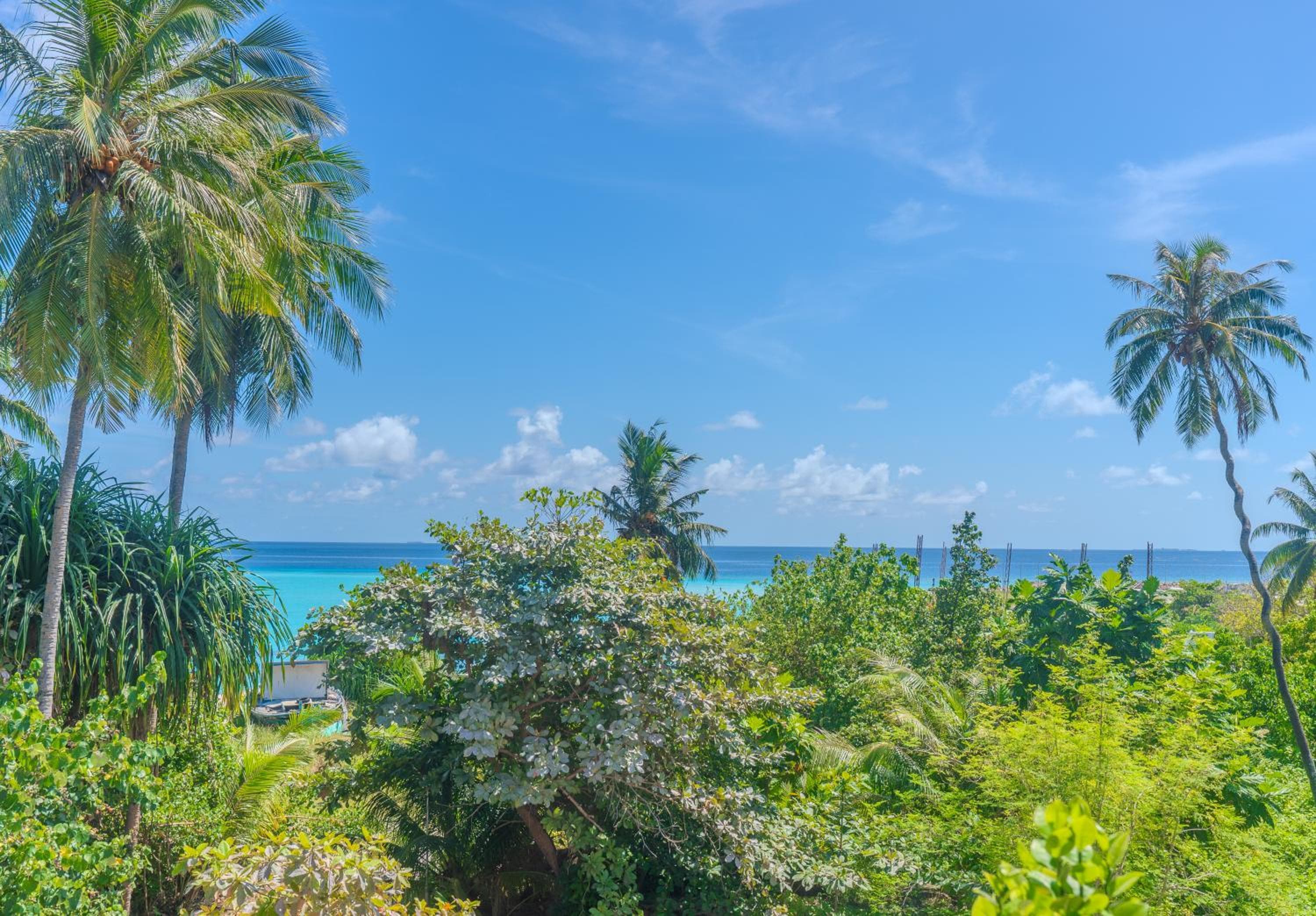 Whale Shark Boutique - View 25