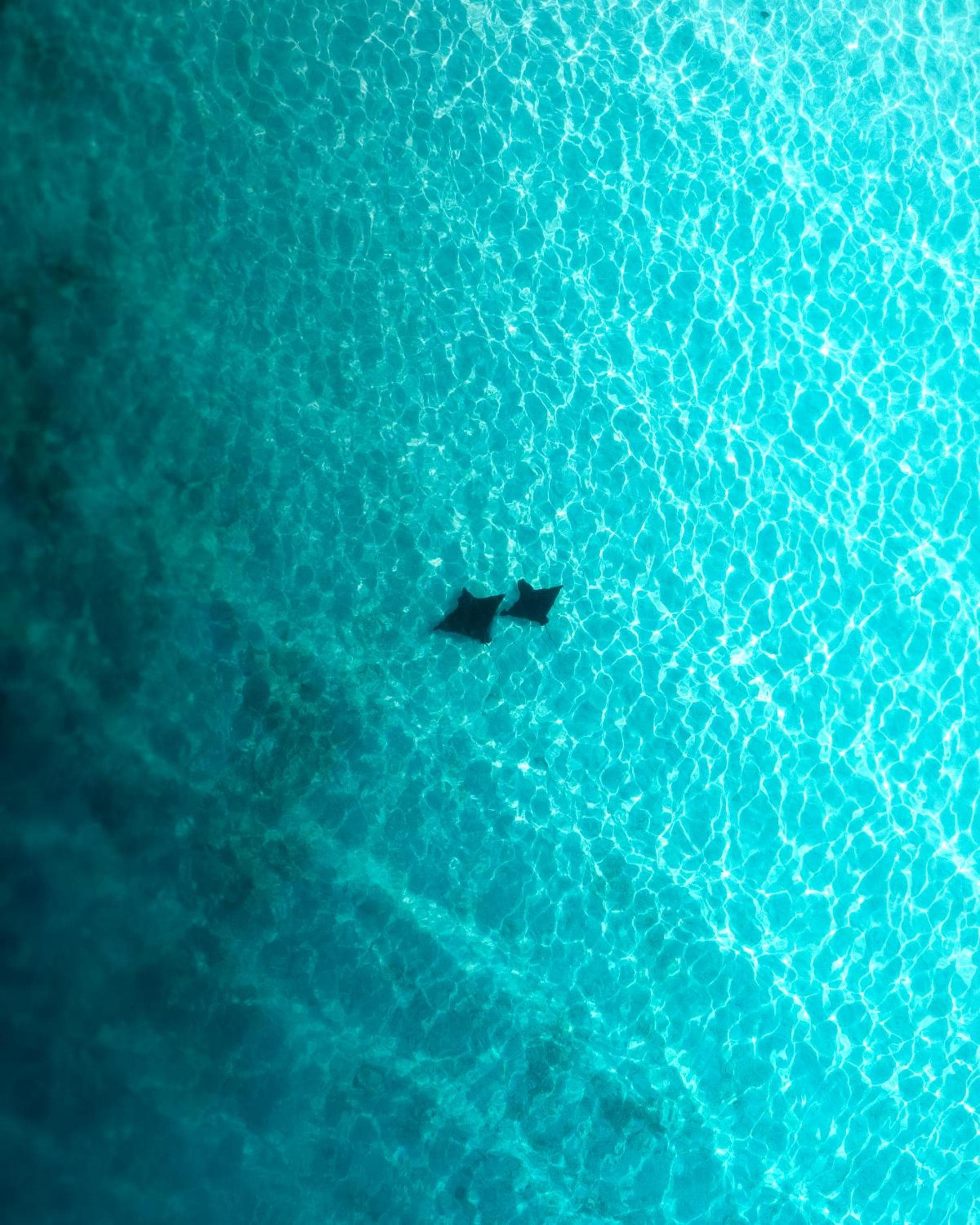 Araamu Hotels Maldives at Dhiffushi - View 128