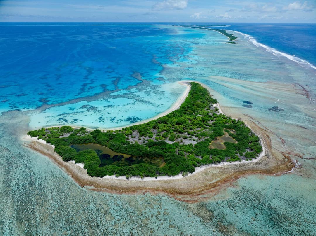 Canareef Resort Maldives - View 188