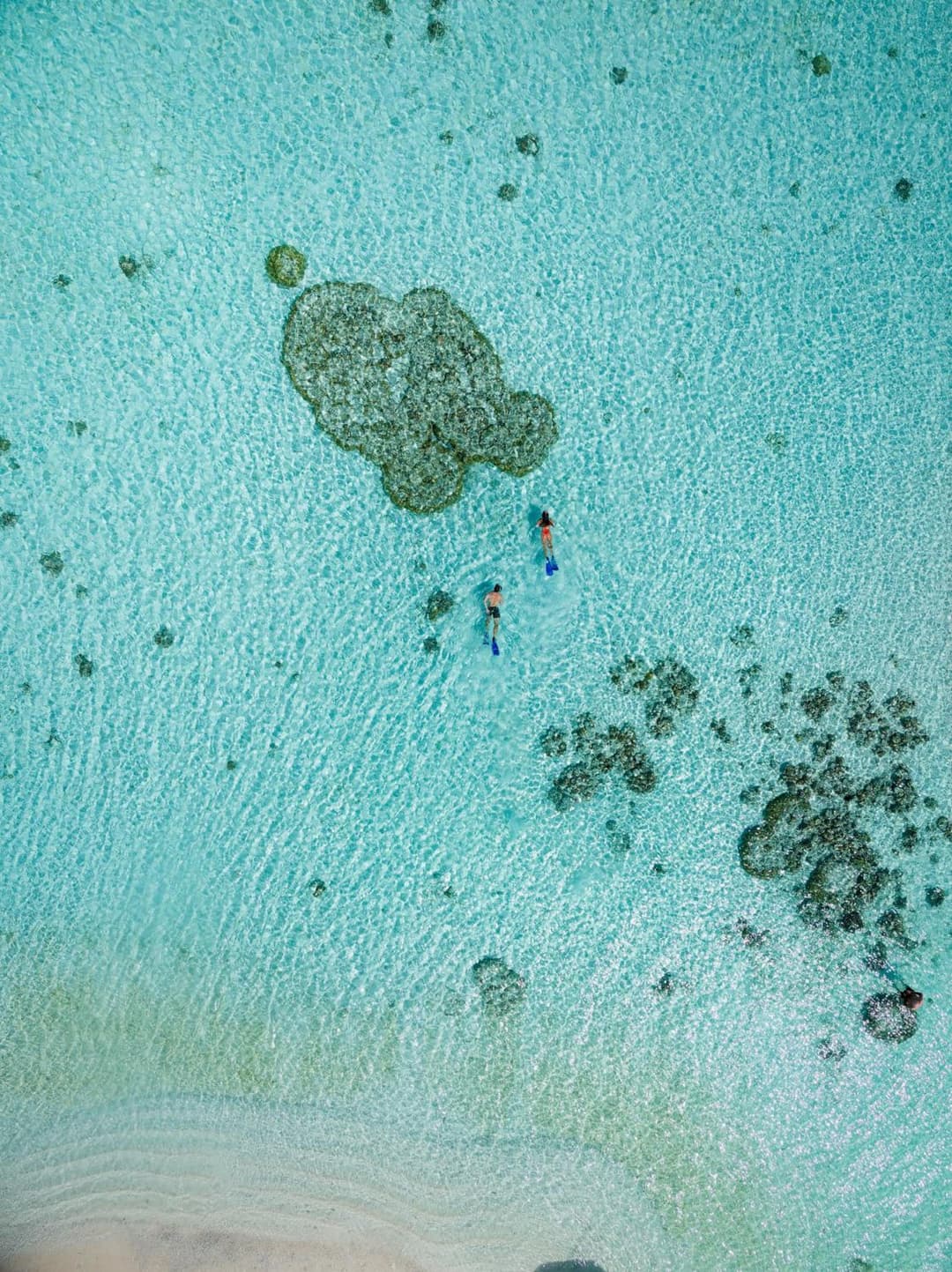 Canareef Resort Maldives - View 131
