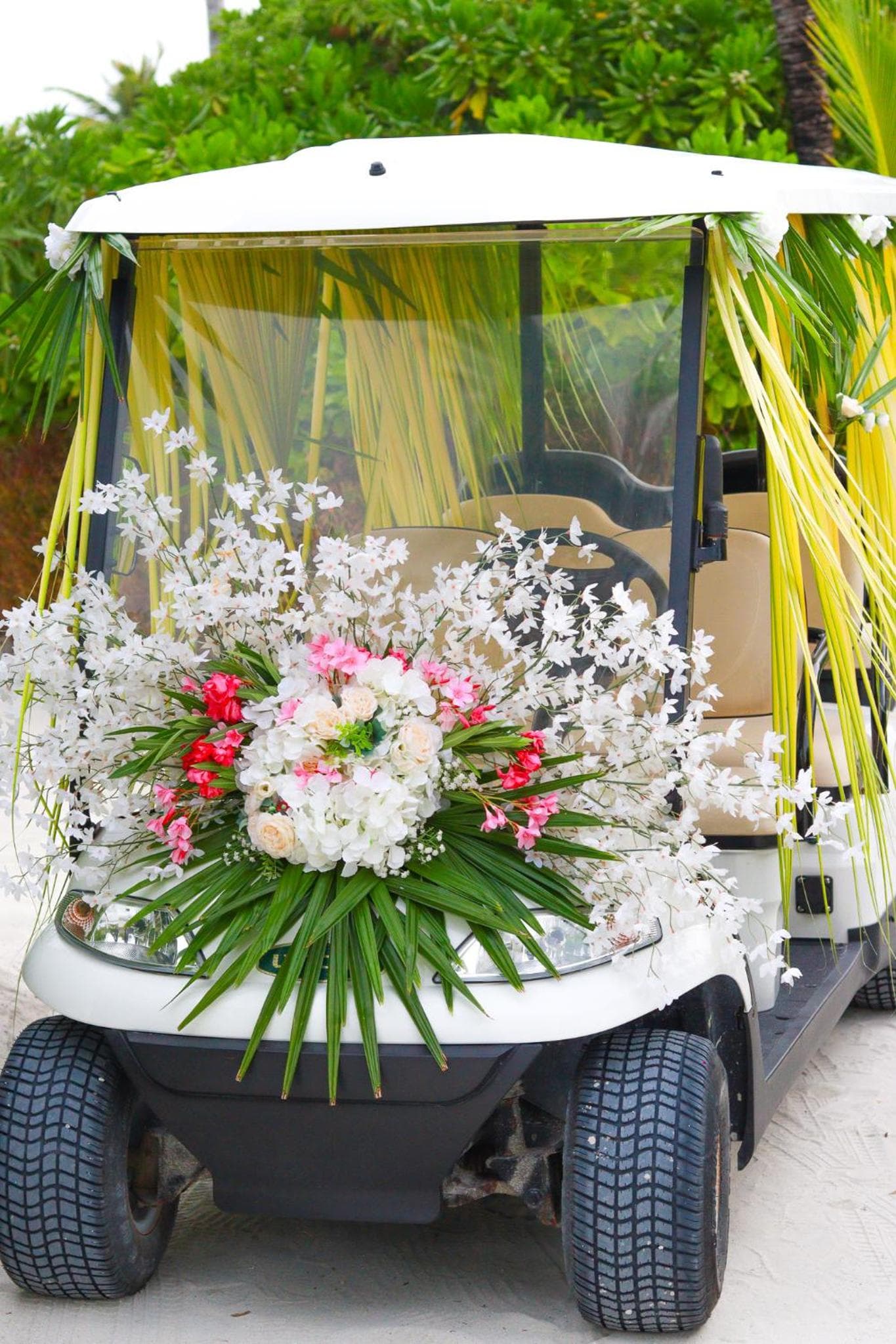 Barceló Whale Lagoon Maldives - View 116