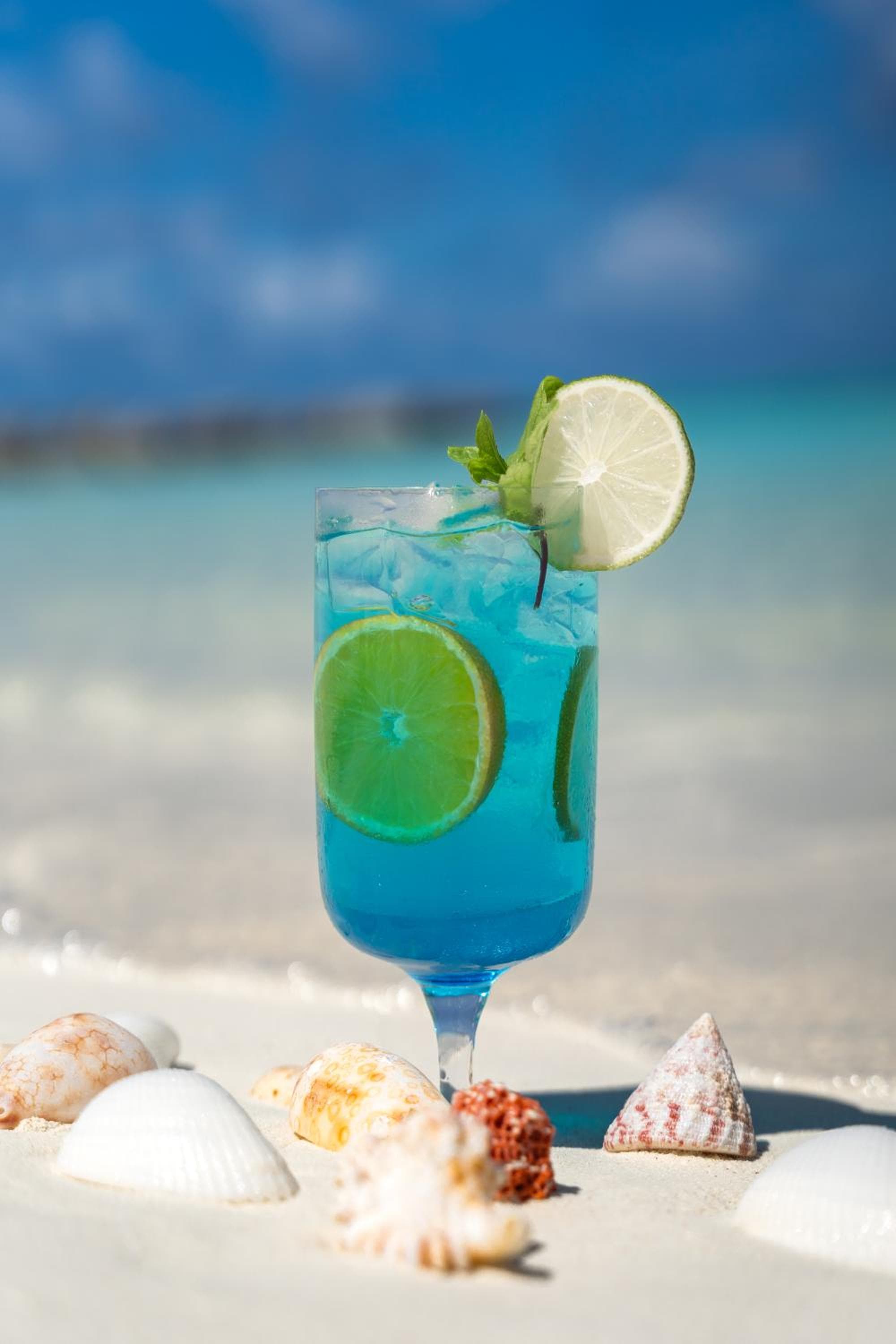 Barceló Whale Lagoon Maldives - View 125