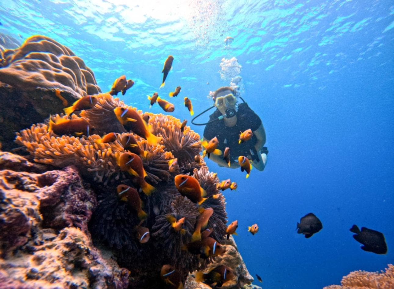 Sabba Summer Suite , Fodhdhoo - View 78