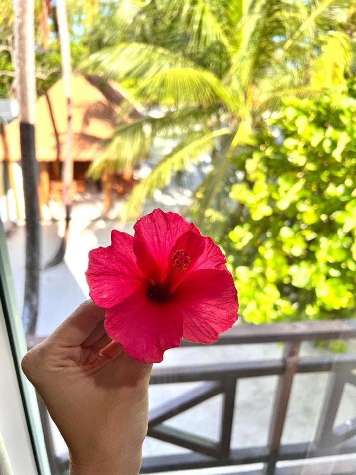 Wave Crest Retreat - View 93