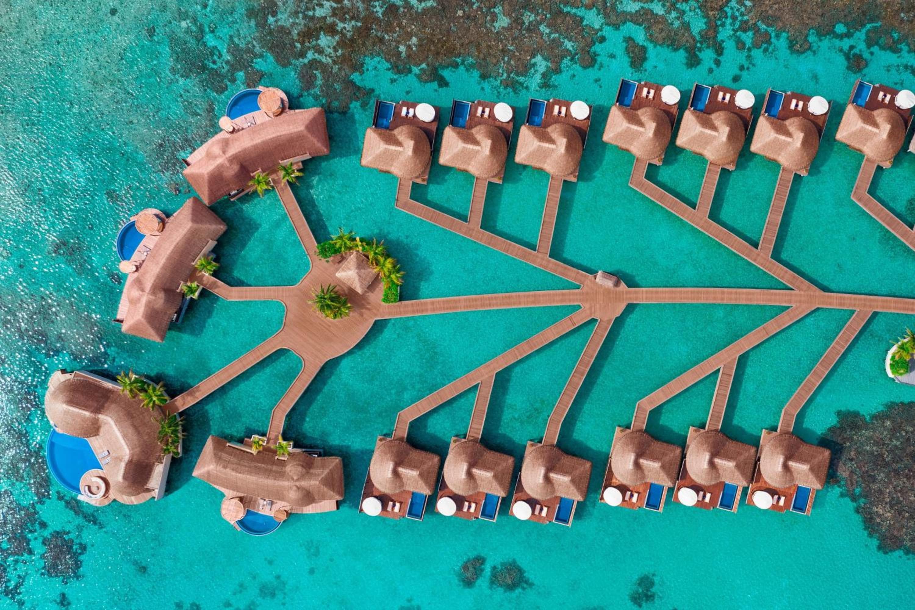 W Maldives - View 30