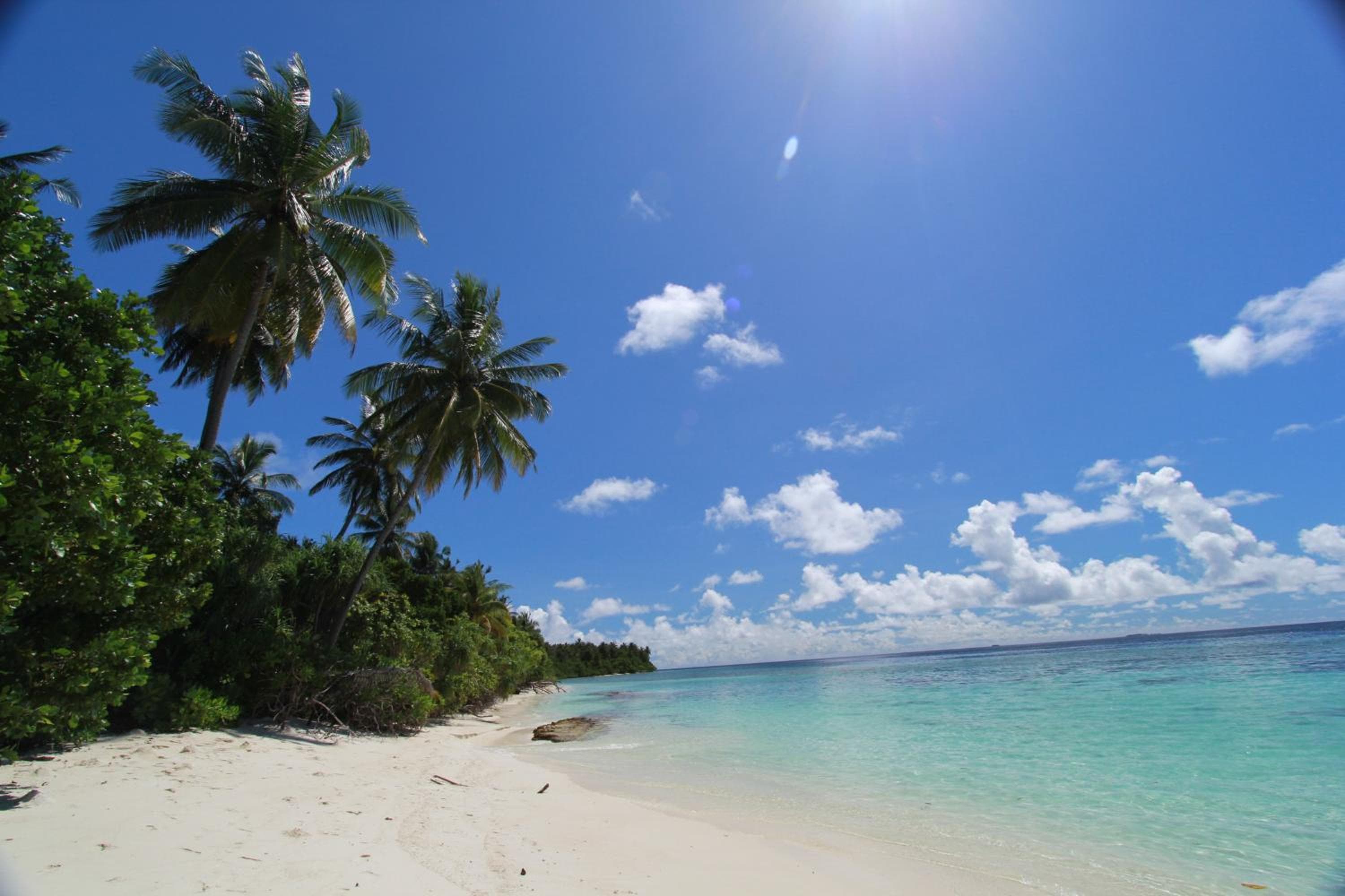 Sevinex Inn - View 88