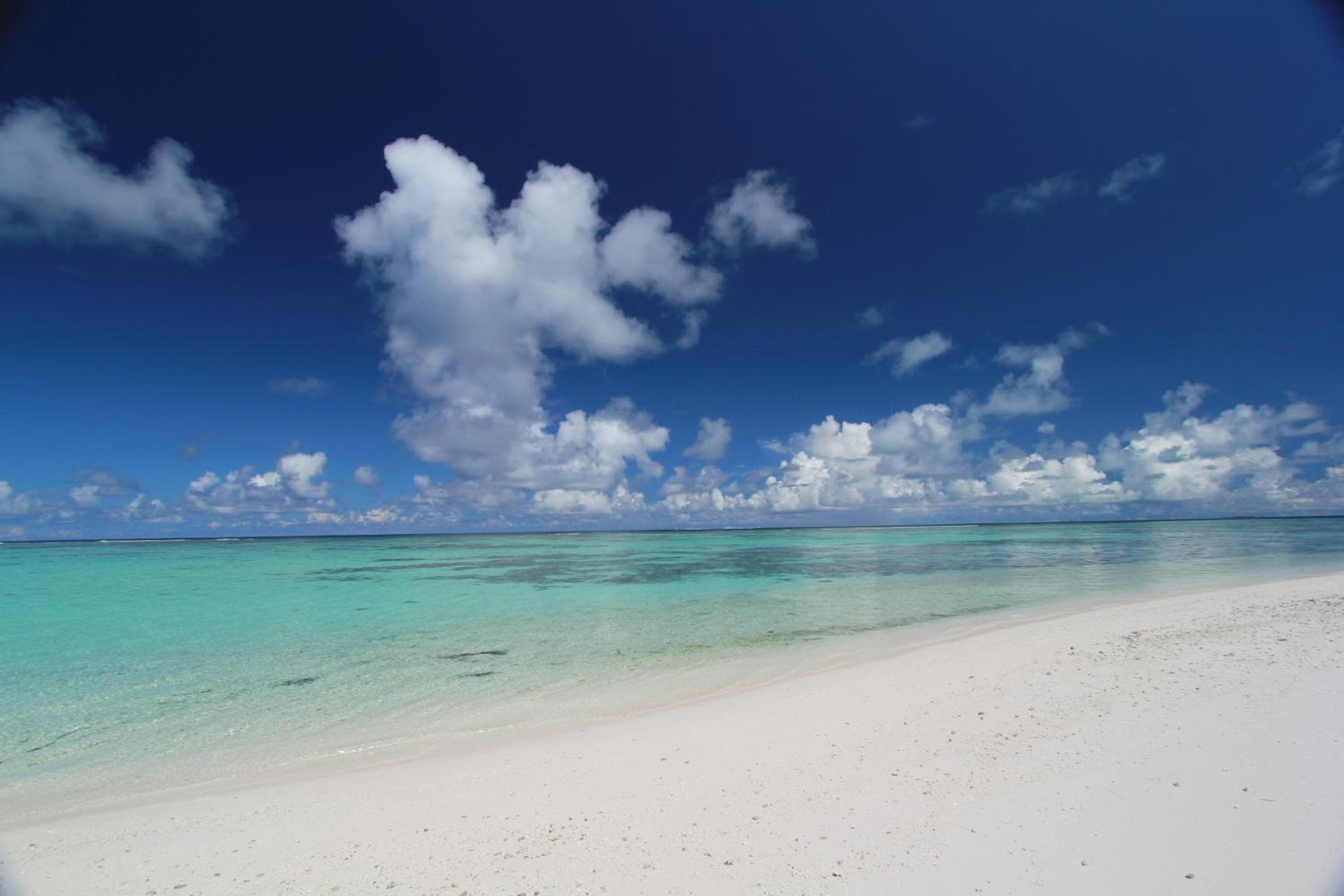 Sevinex Inn - View 78