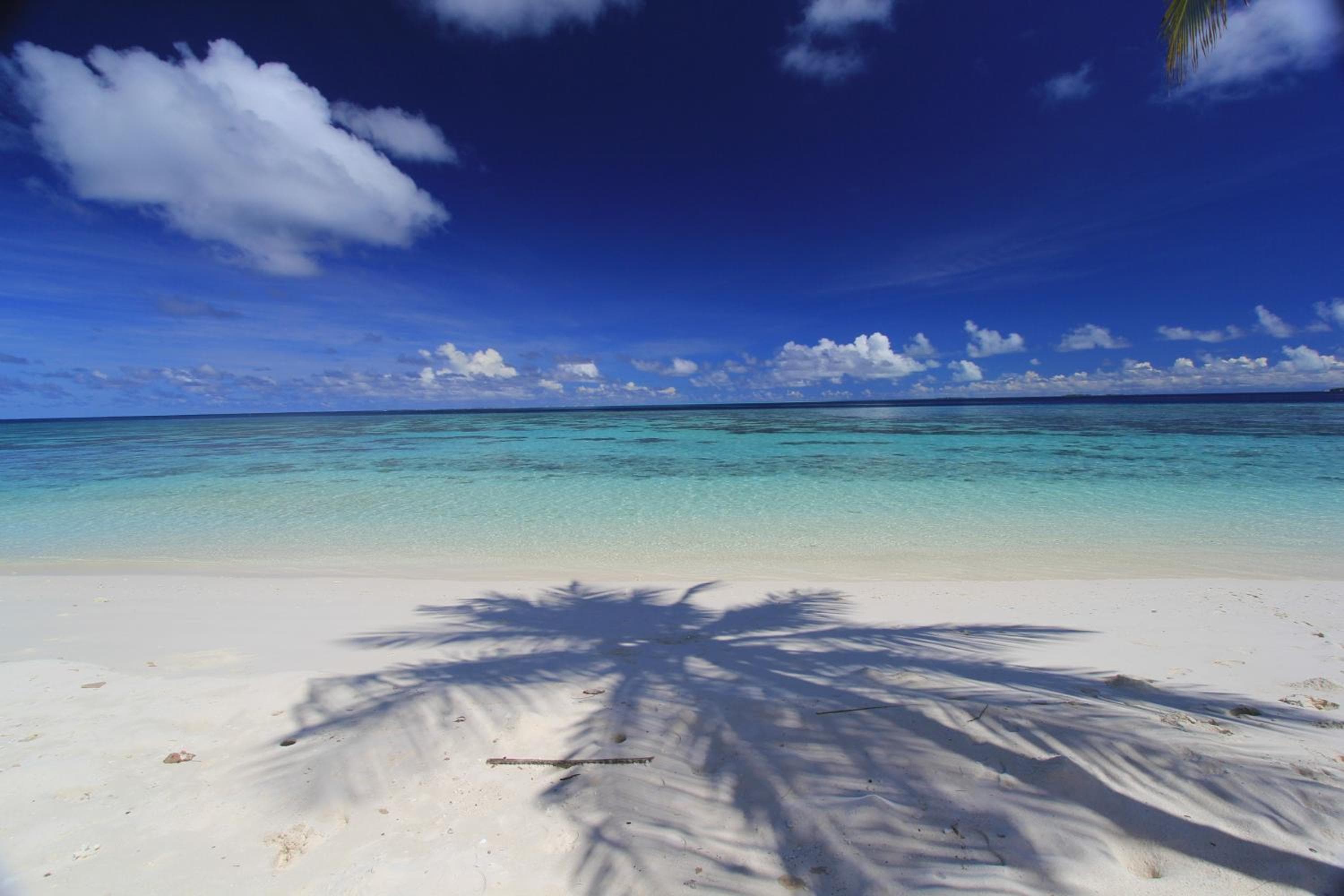 Sevinex Inn - View 69