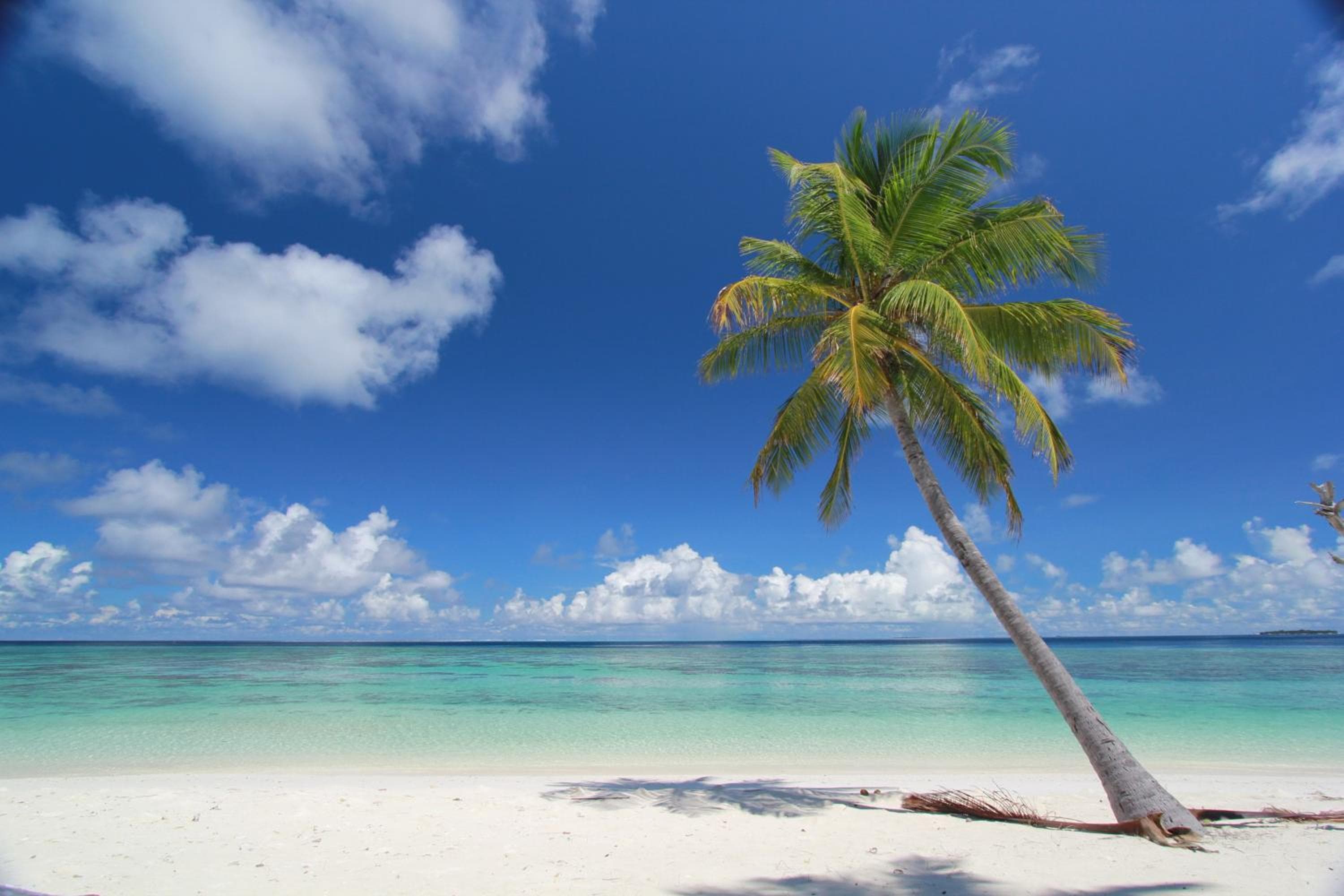 Sevinex Inn - View 1