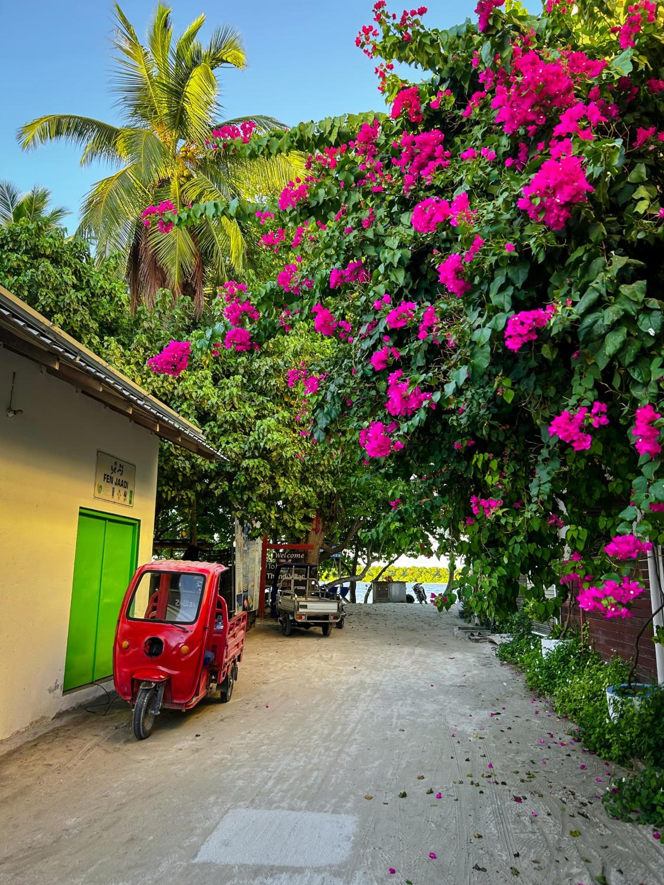 Thundi Village & Spa - View 101