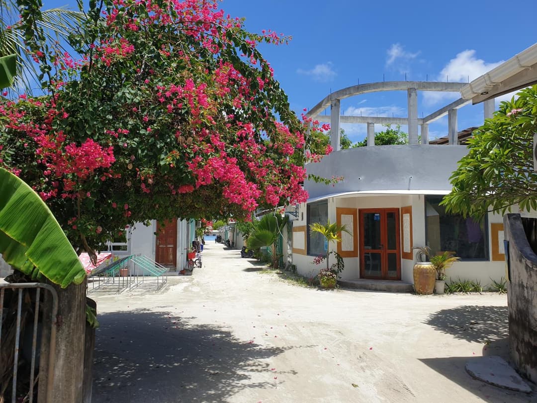 Beach Heaven Maldives - Golden Turtle Guest House - View 16