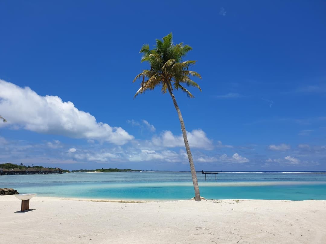 Beach Heaven Maldives - Golden Turtle Guest House - View 7