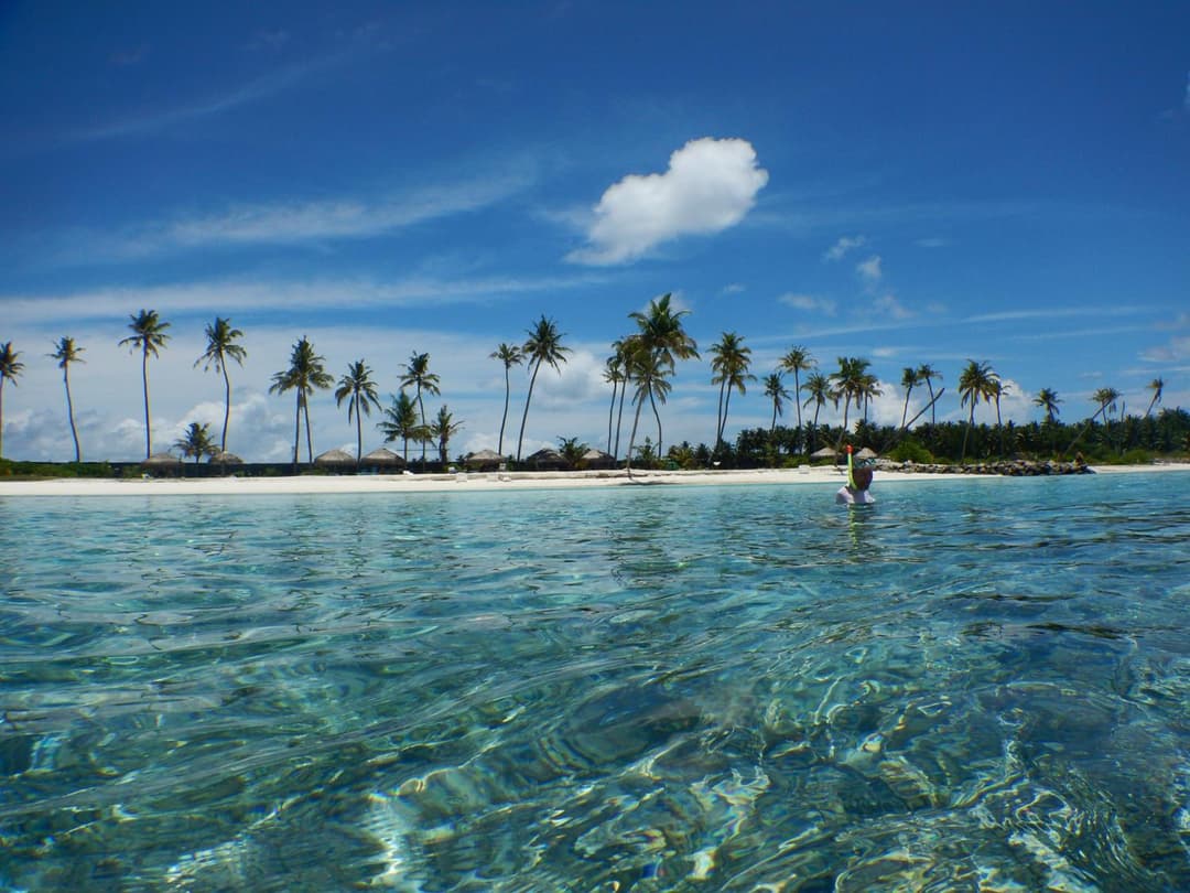 Beach Heaven Maldives - Golden Turtle Guest House - View 23