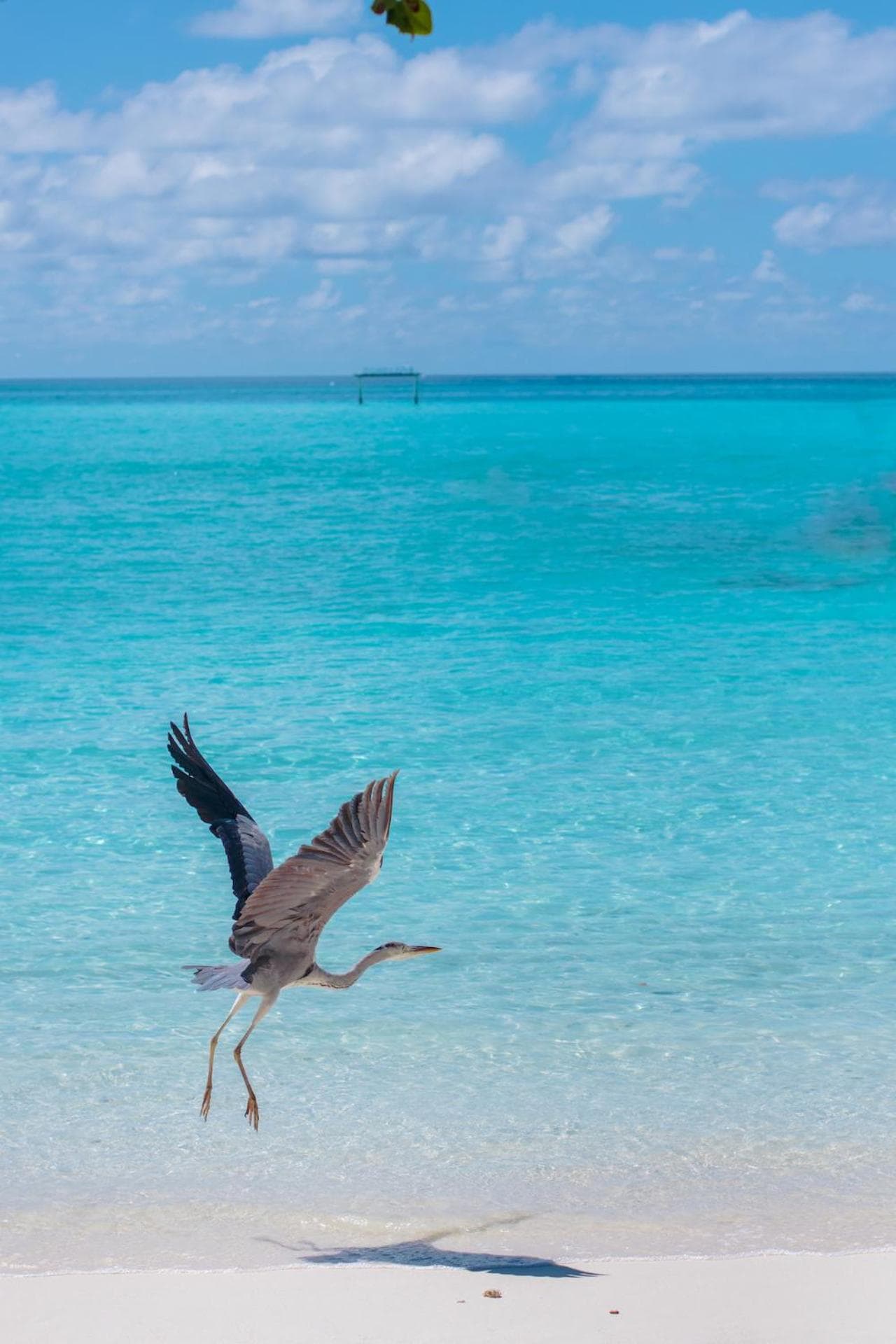 Atoll Retreat - View 43