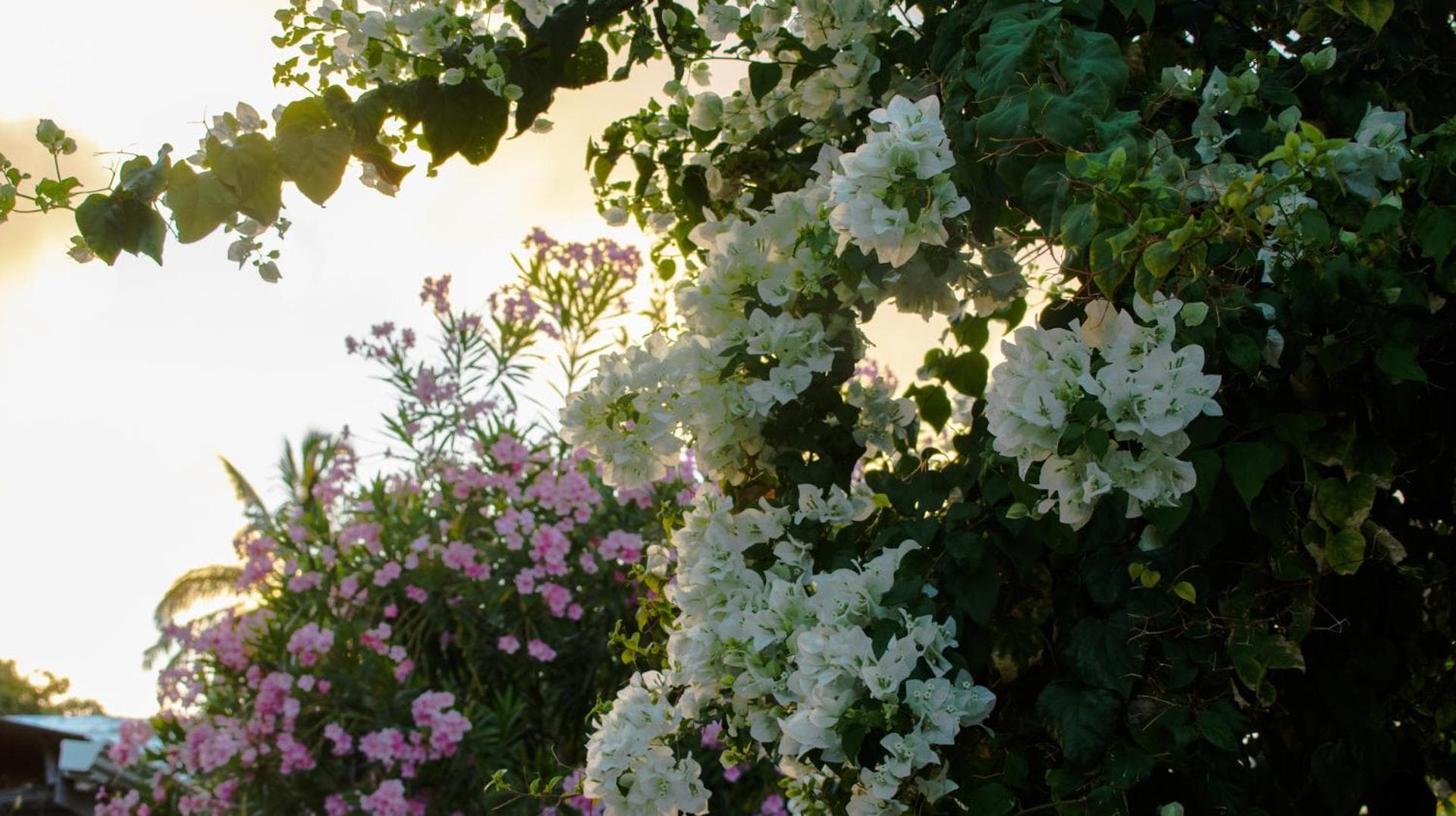 Atoll Retreat - View 17