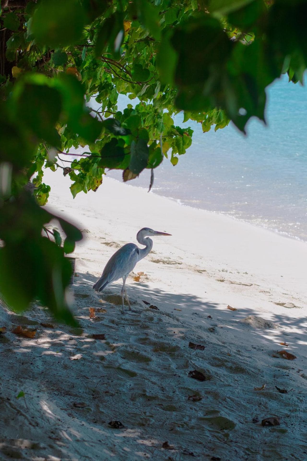 Atoll Retreat - View 15