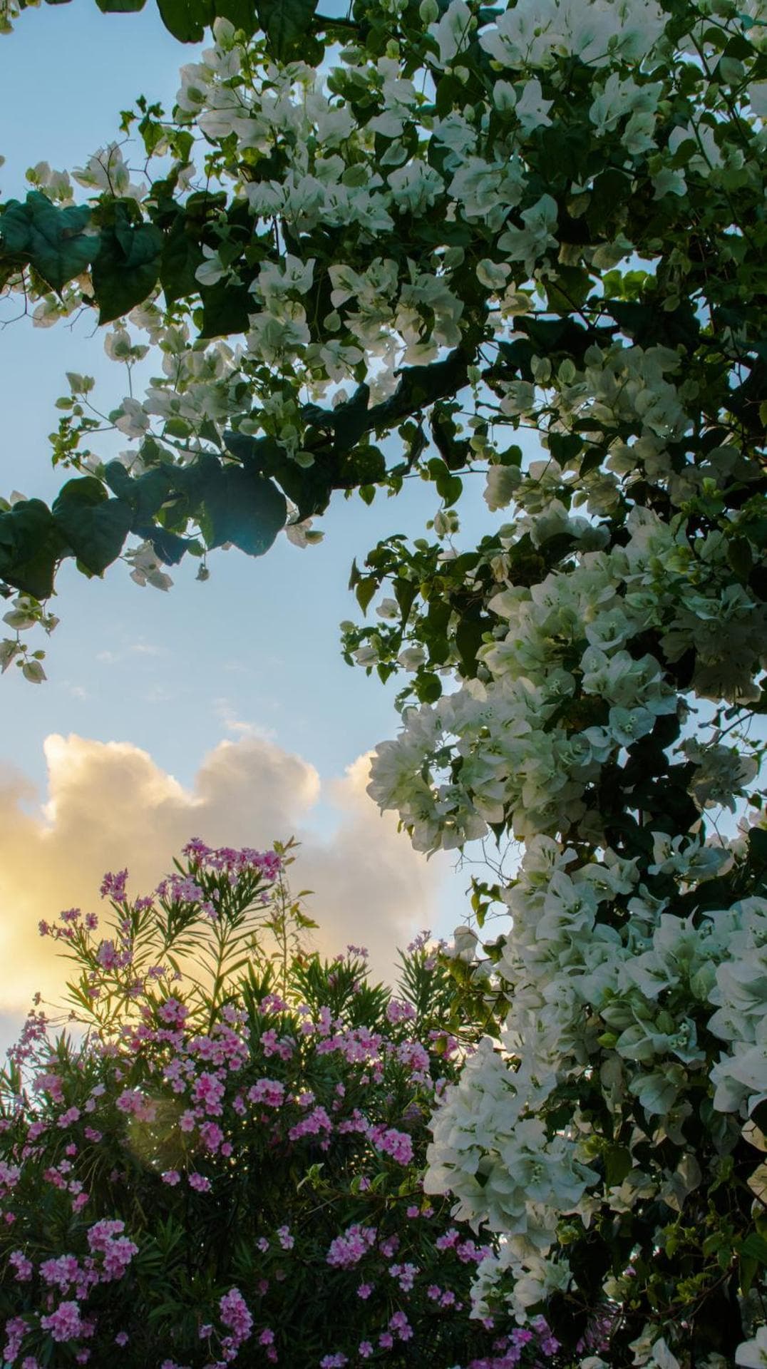 Atoll Retreat - View 8