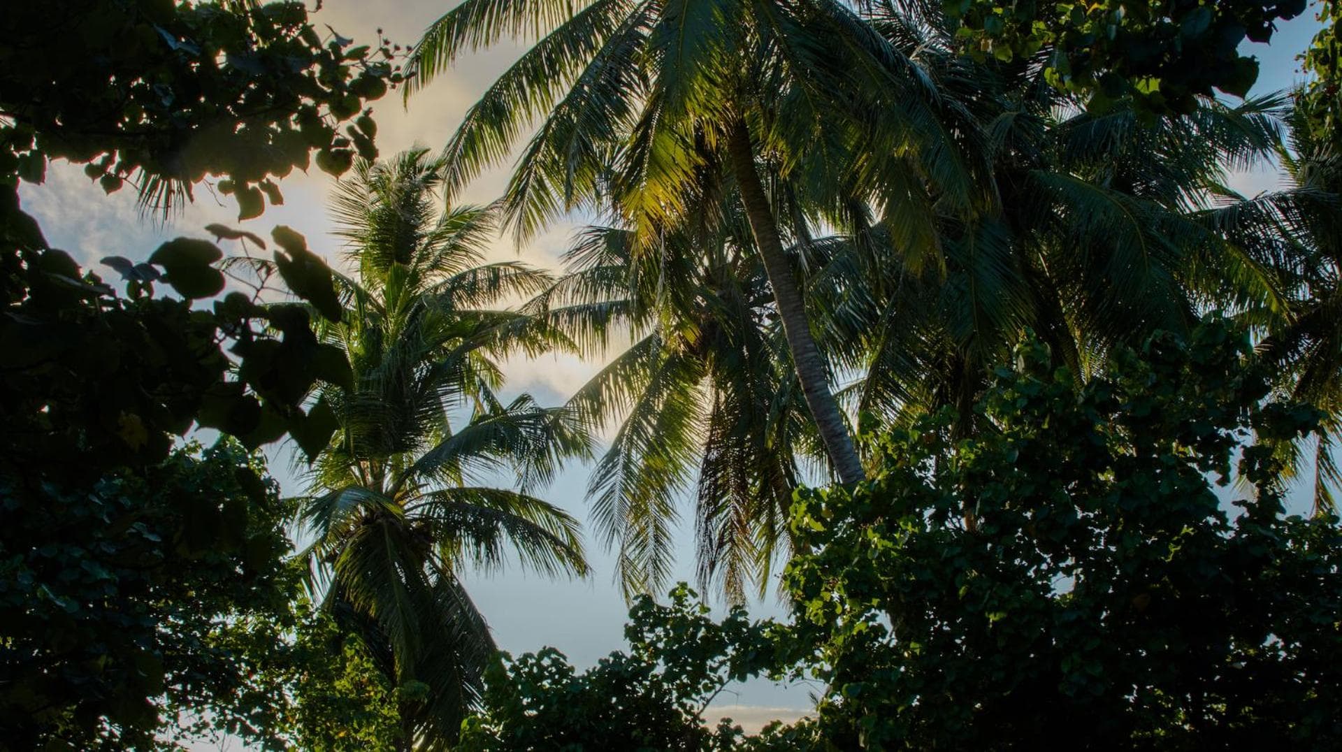 Atoll Retreat - View 23