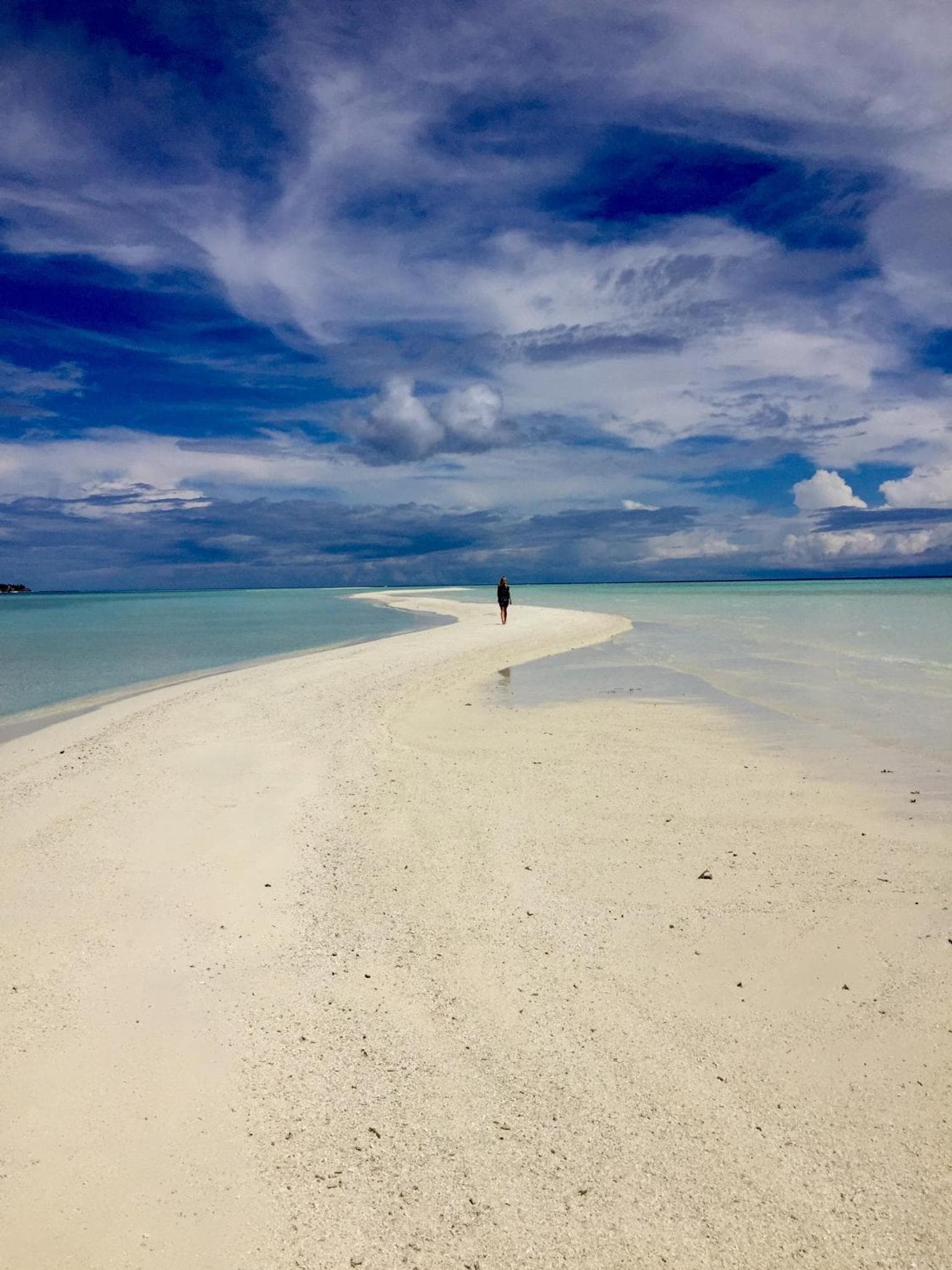 Palm Garden - View 31