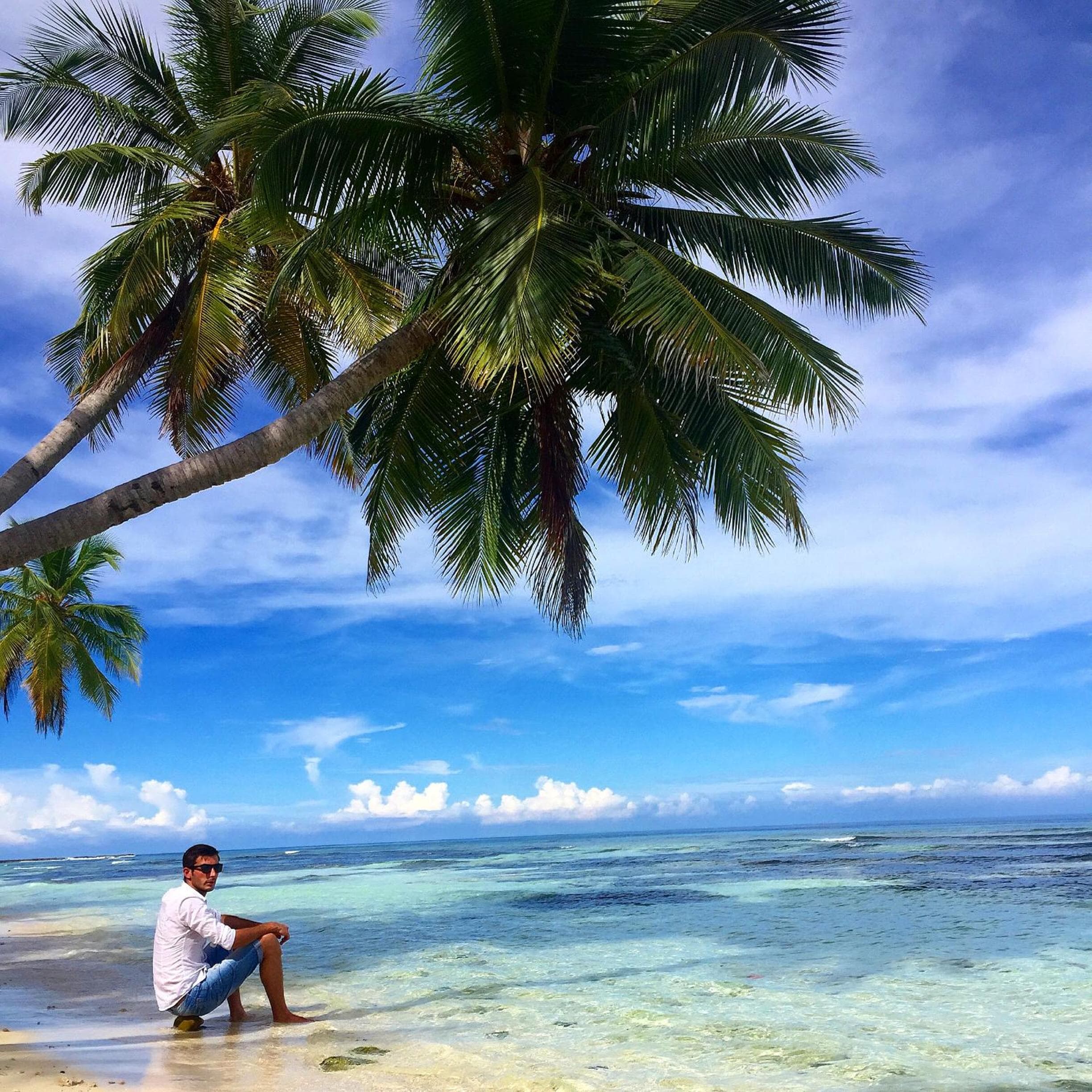 Palm Garden - View 30