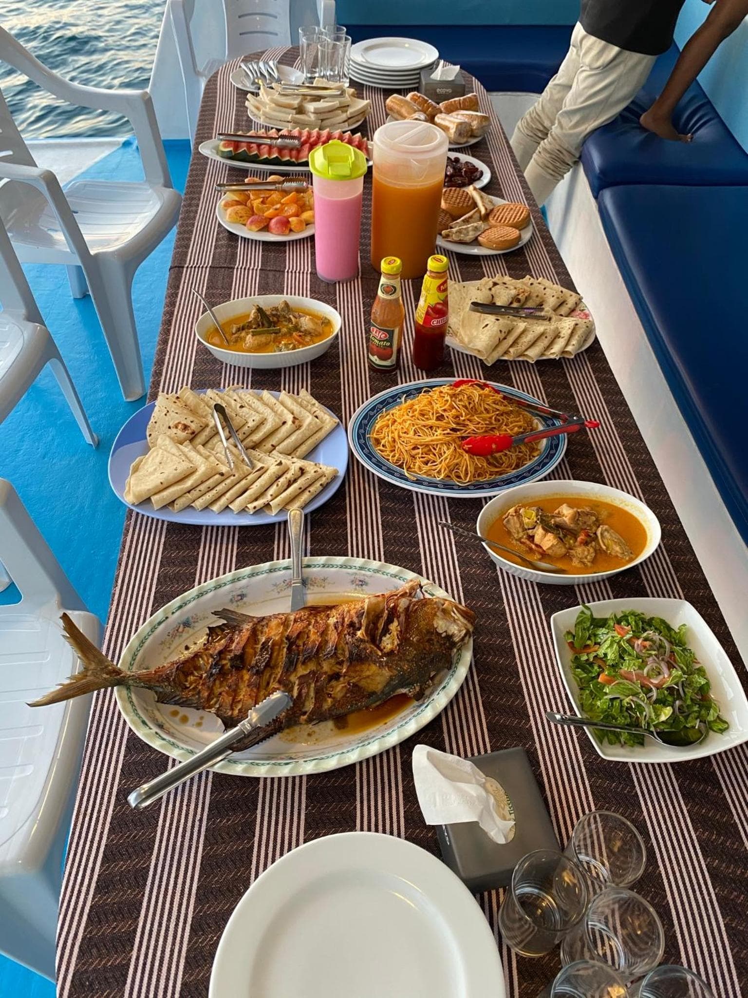 Hariana Safari Boat - View 3