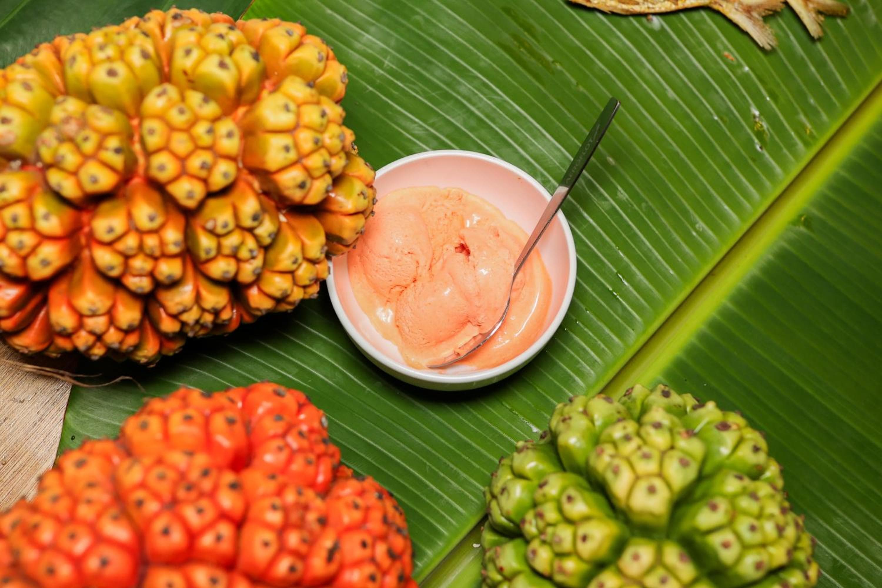 Lagoon Villa Maldives - View 64