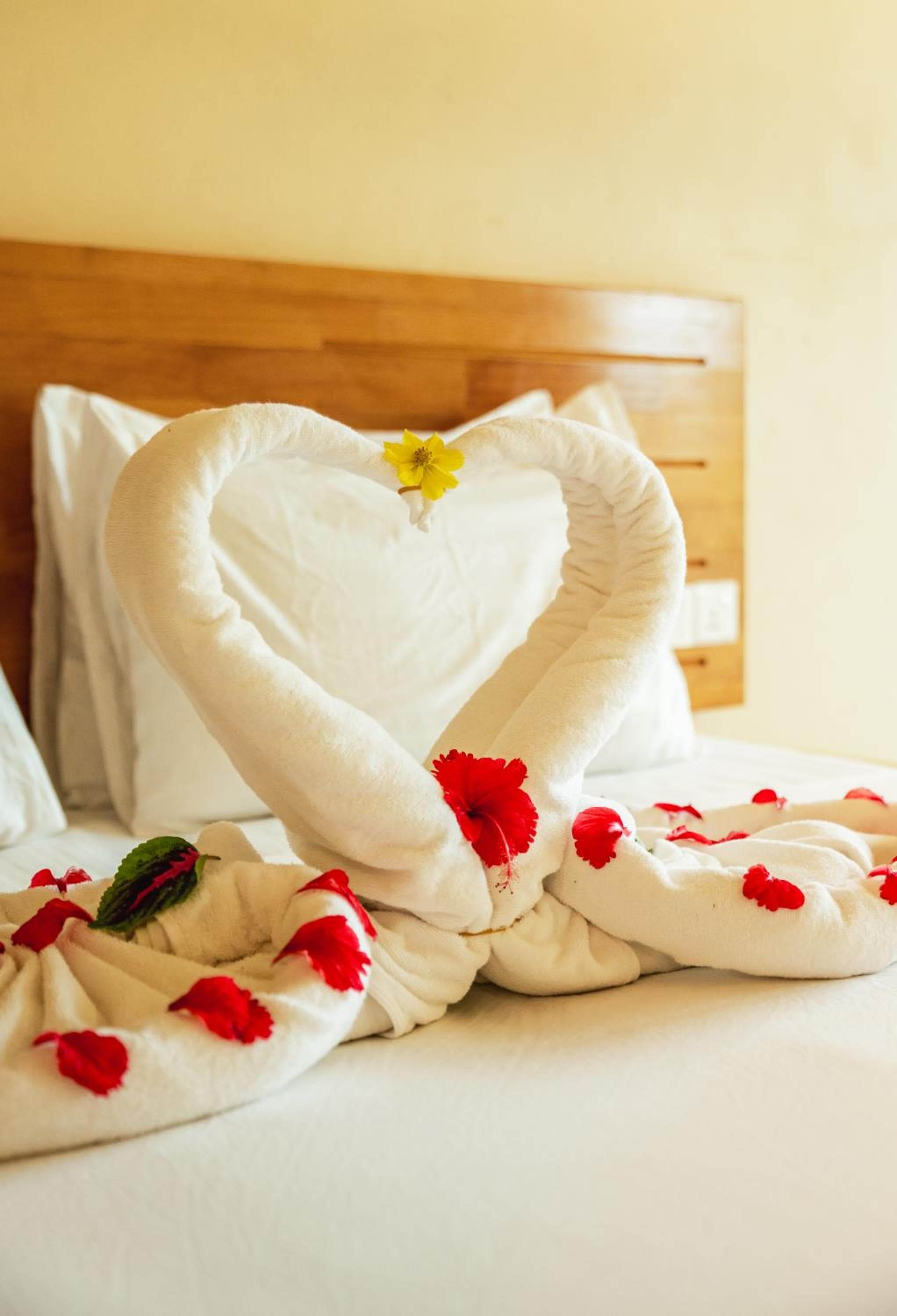 Relax Lodge - View 12