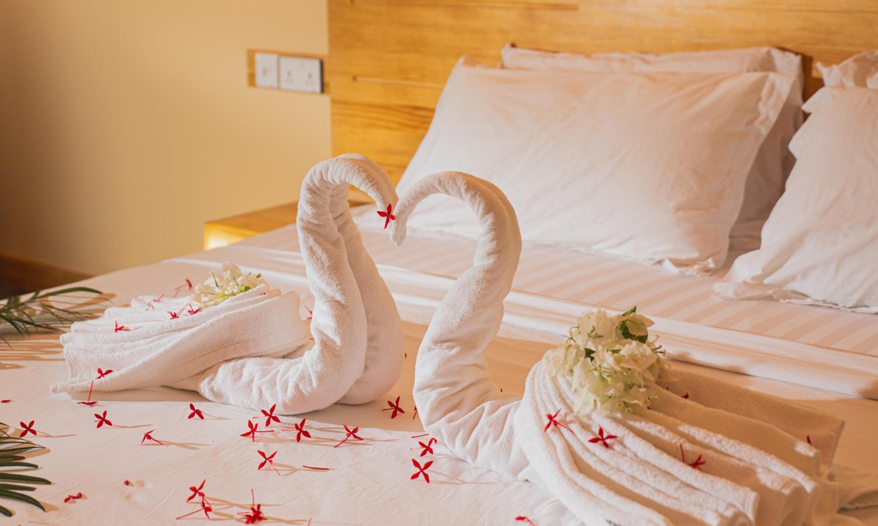 Relax Lodge - View 18