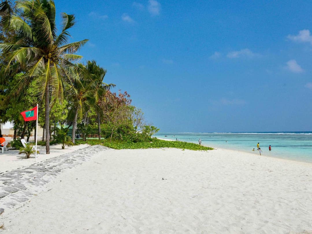 Coconut Tree Hulhuvilla Beach - View 6