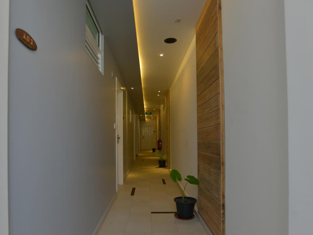 Coconut Tree Hulhuvilla Beach - View 22