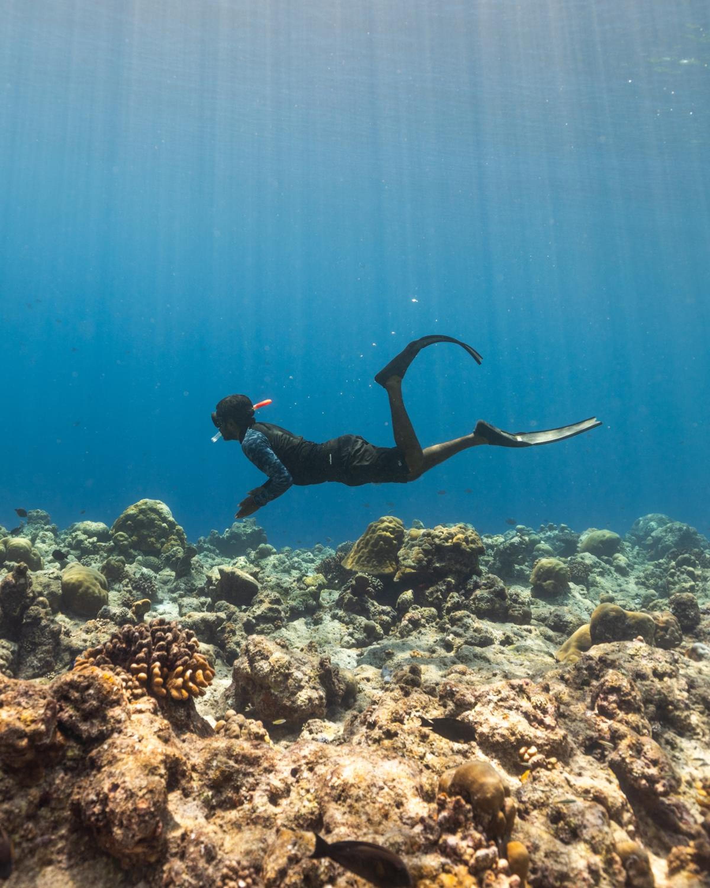 Kirulhiya Maldives Hotel - View 12