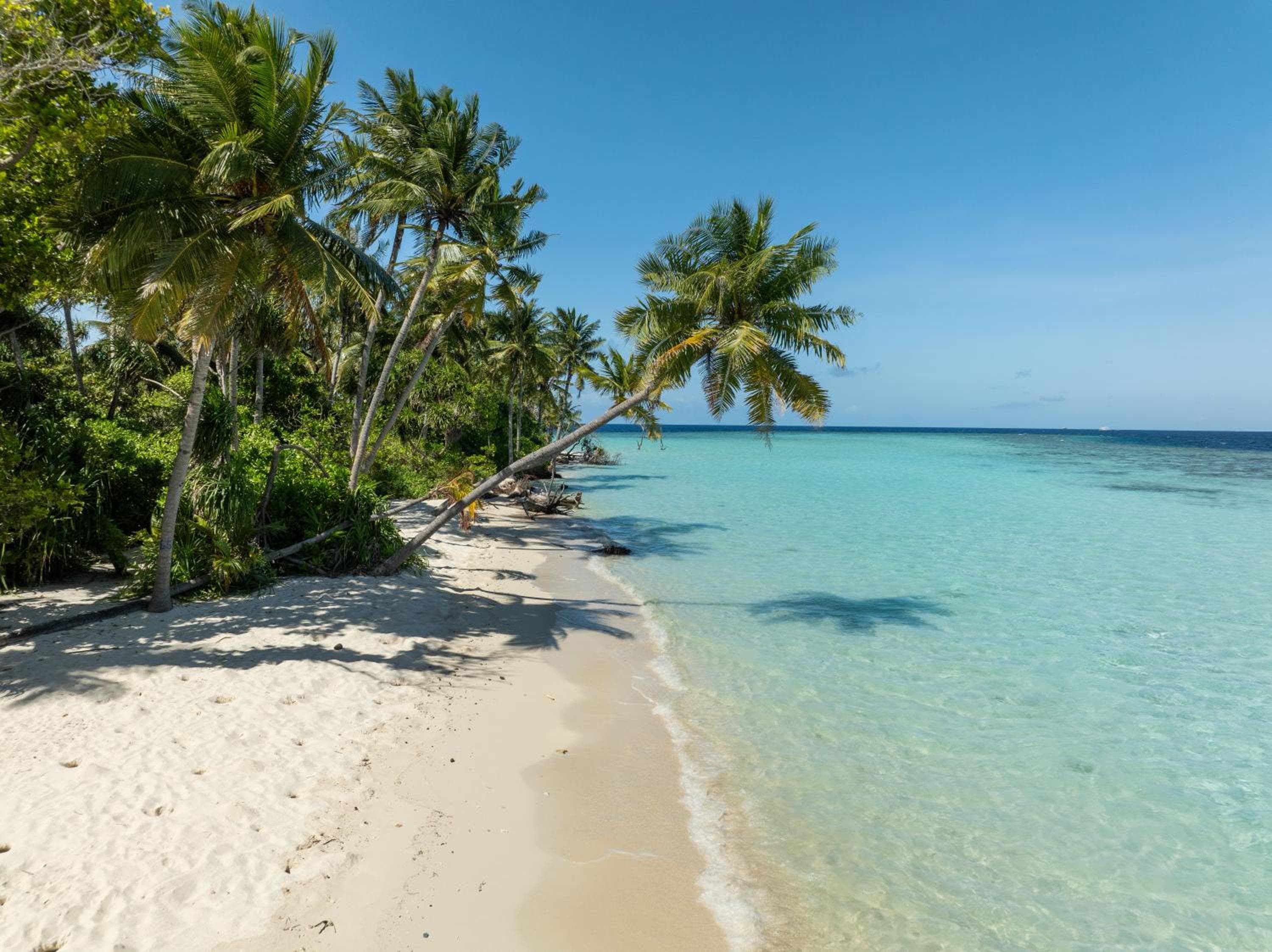 Kirulhiya Maldives Hotel - View 8