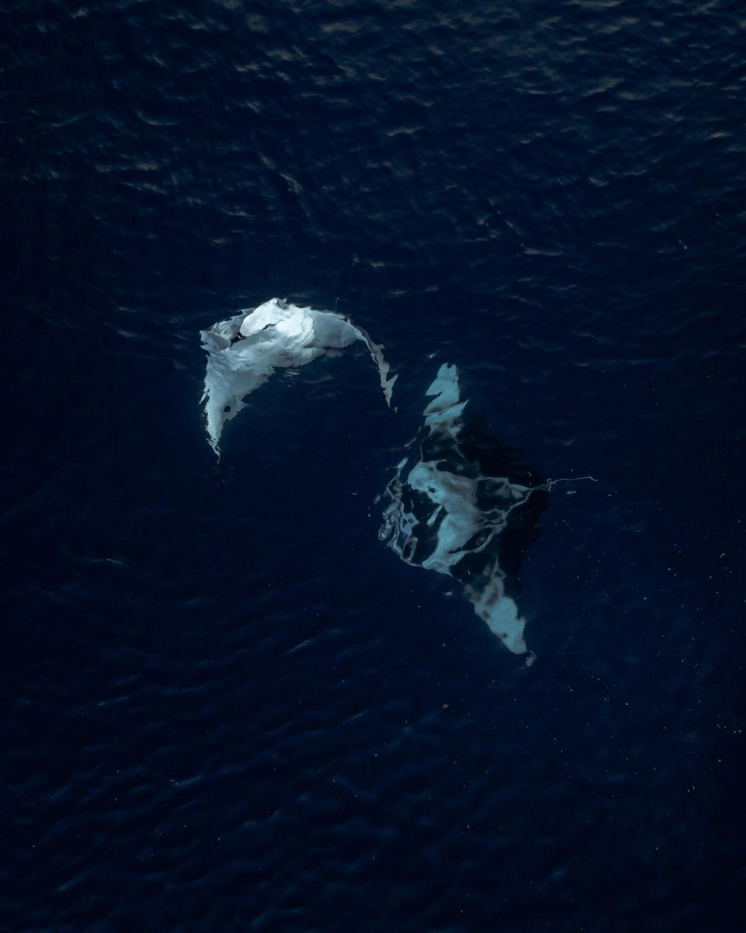 Kirulhiya Maldives Hotel - View 7