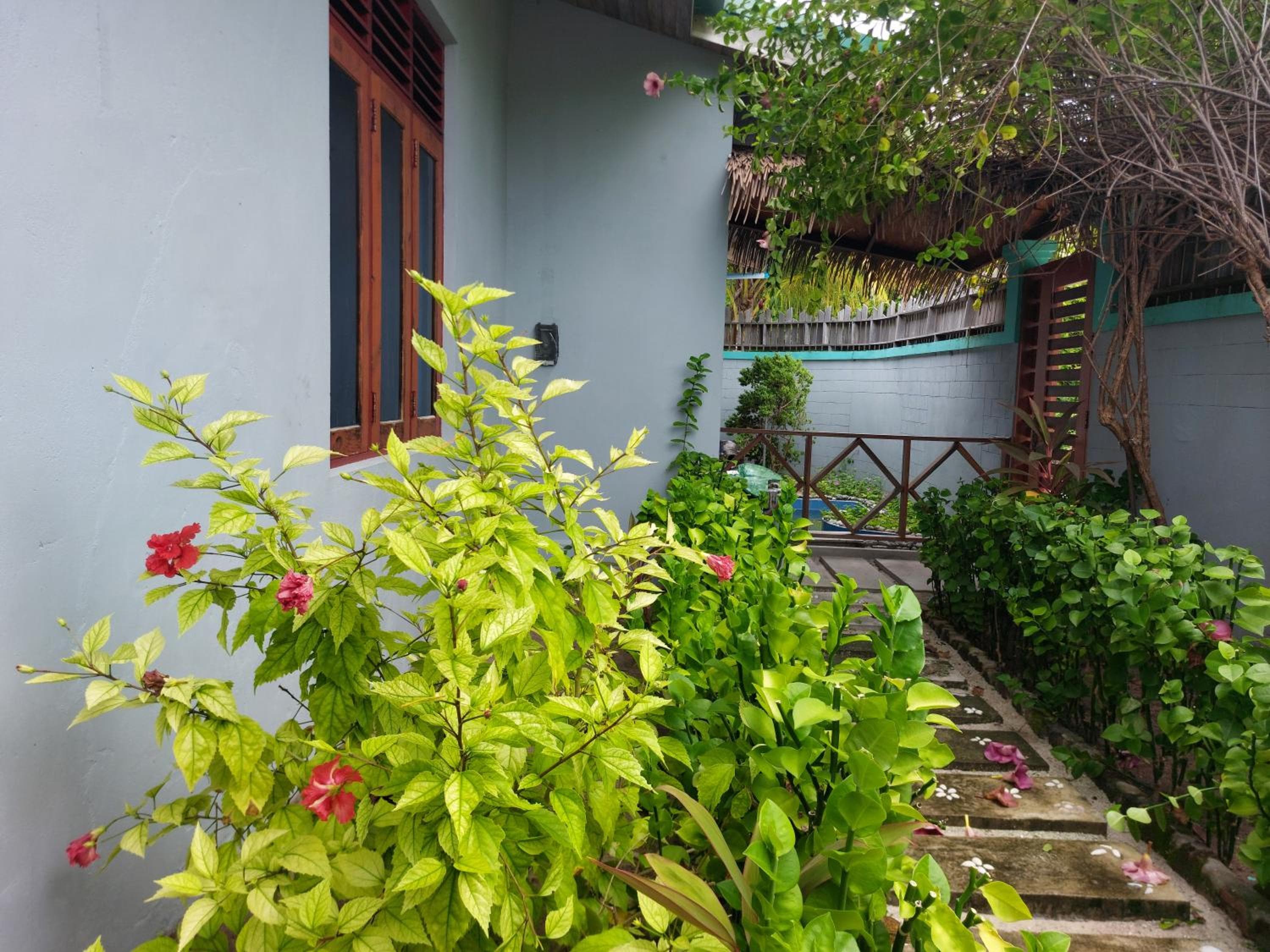 eMzaz Blue Lagoon - View 12