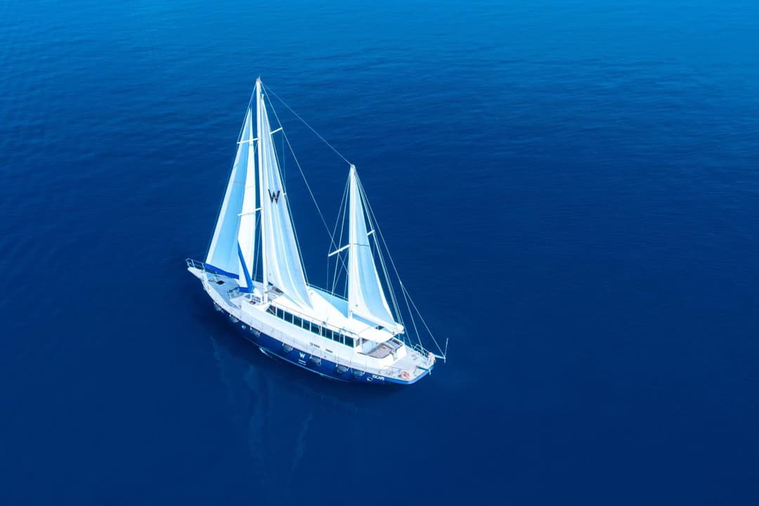 W Maldives - View 36