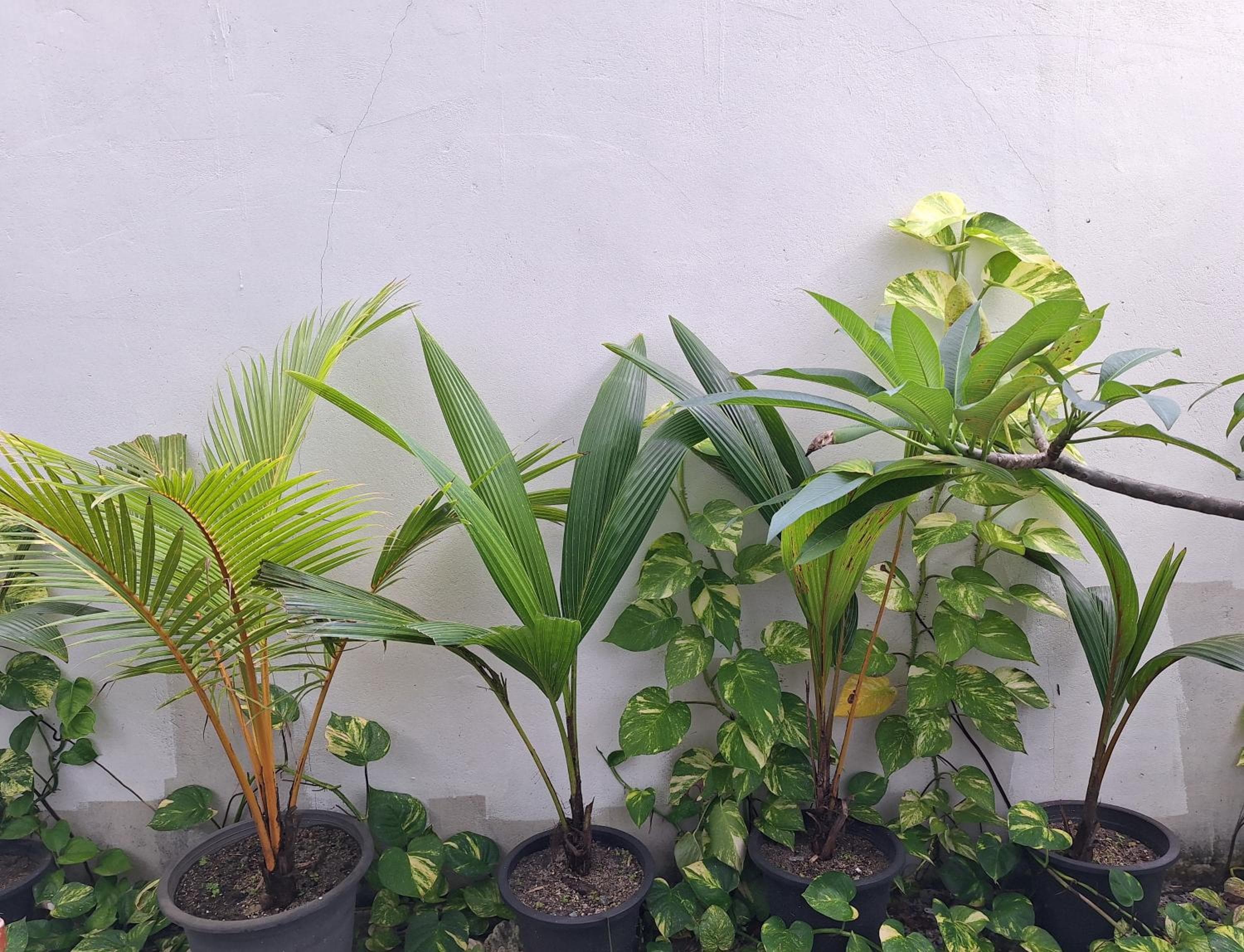 Thundi Village & Spa - View 92