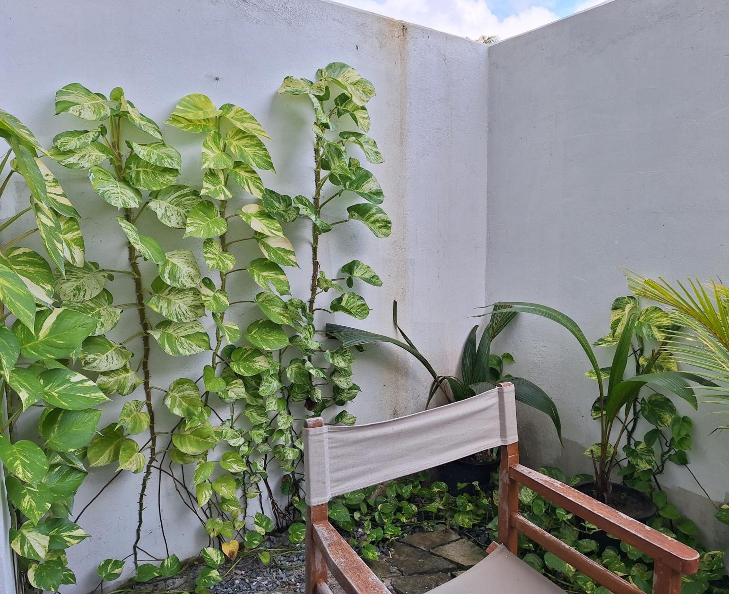 Thundi Village & Spa - View 2