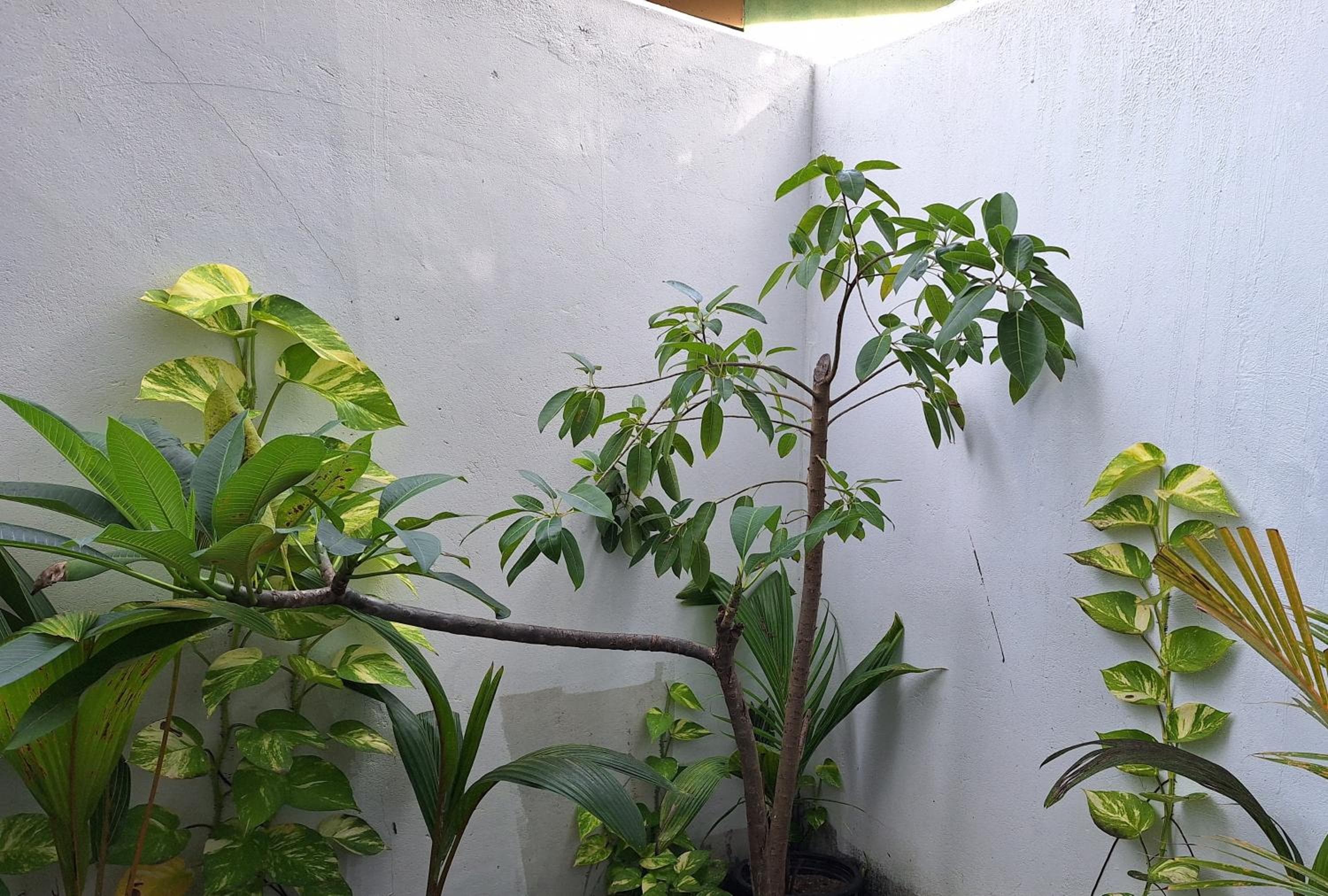 Thundi Village & Spa - View 3