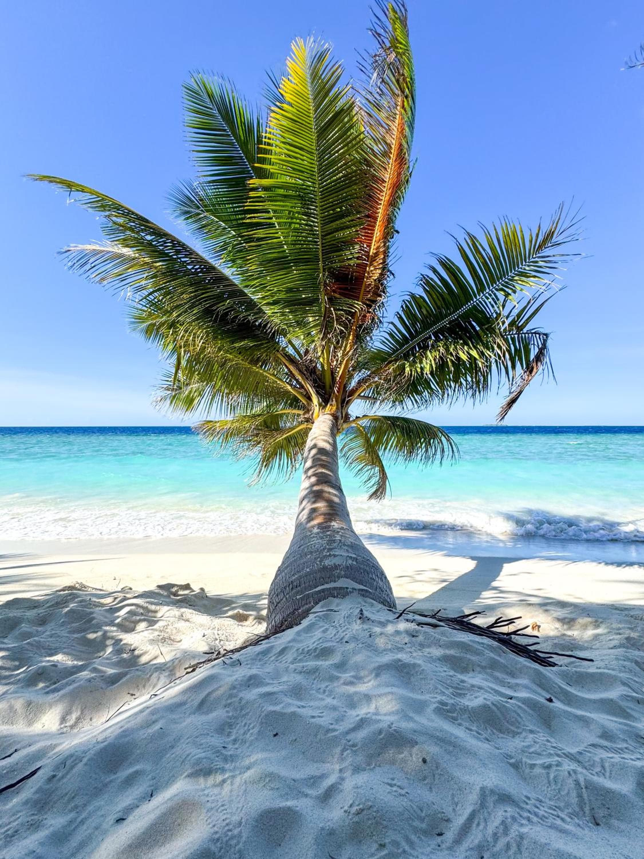 Ukulhas Sands - View 80