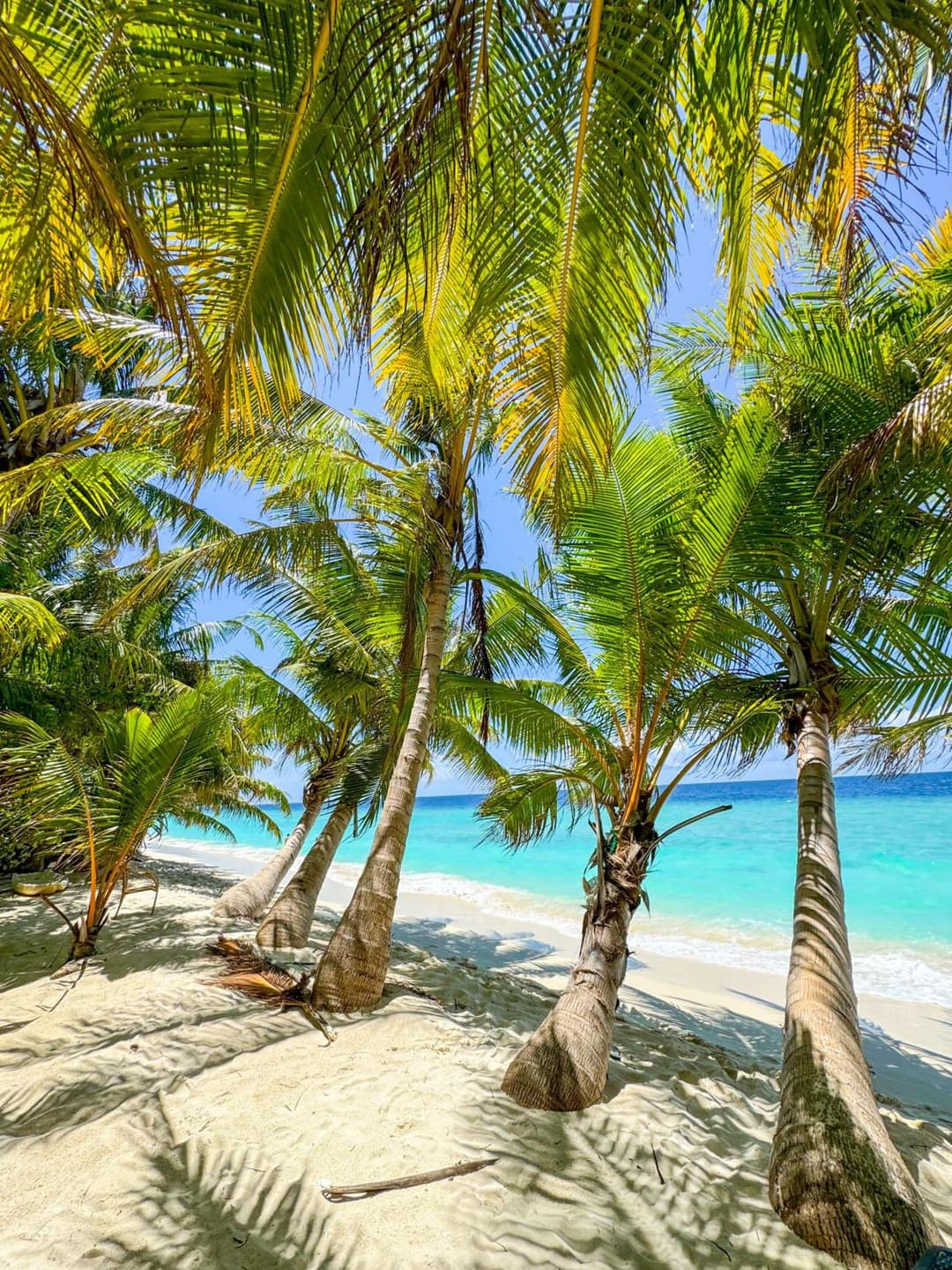 Ukulhas Sands - View 25
