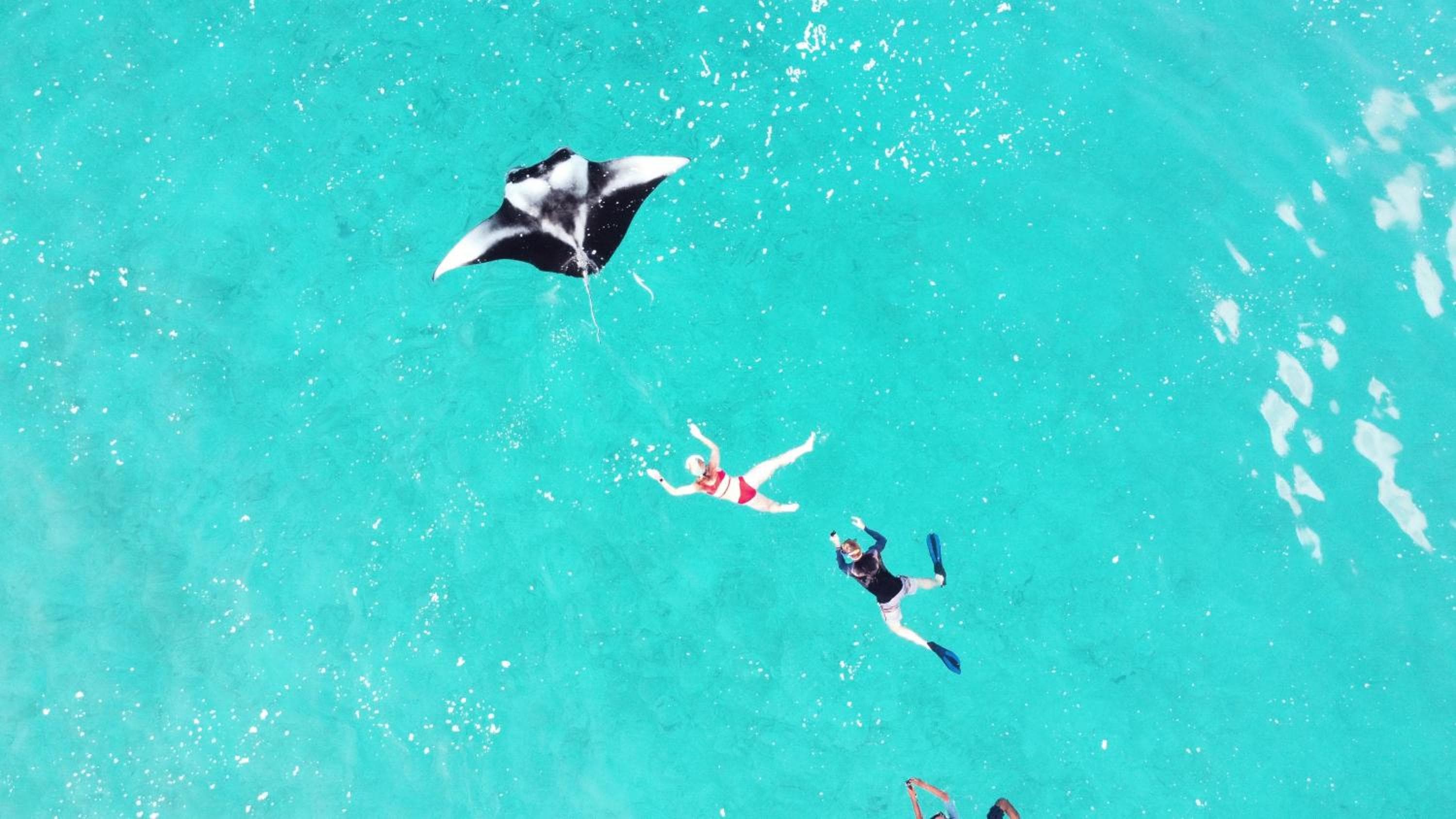 Ukulhas Sands - View 13