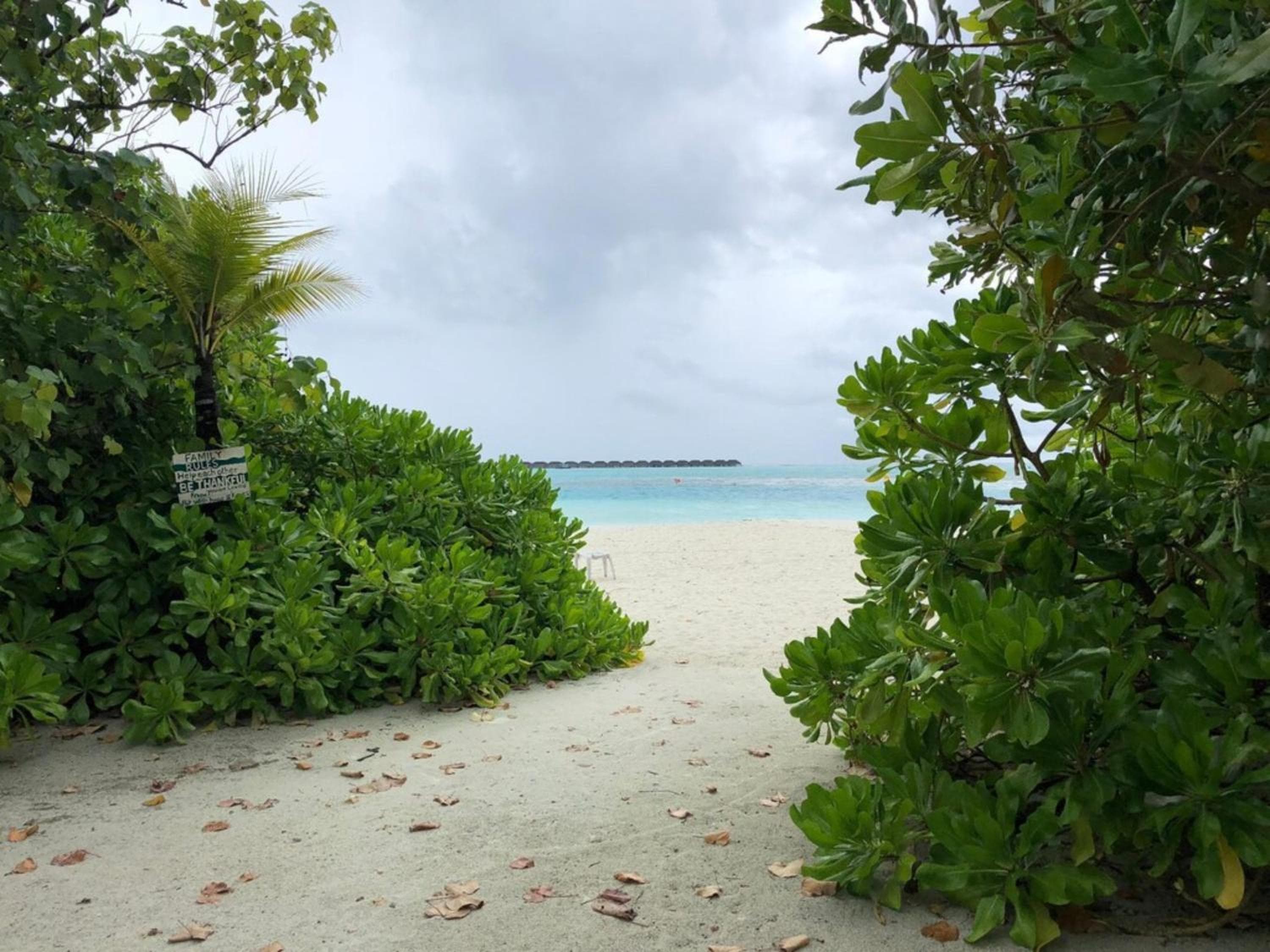 Dhiffushi Tourist Hotel - View 22