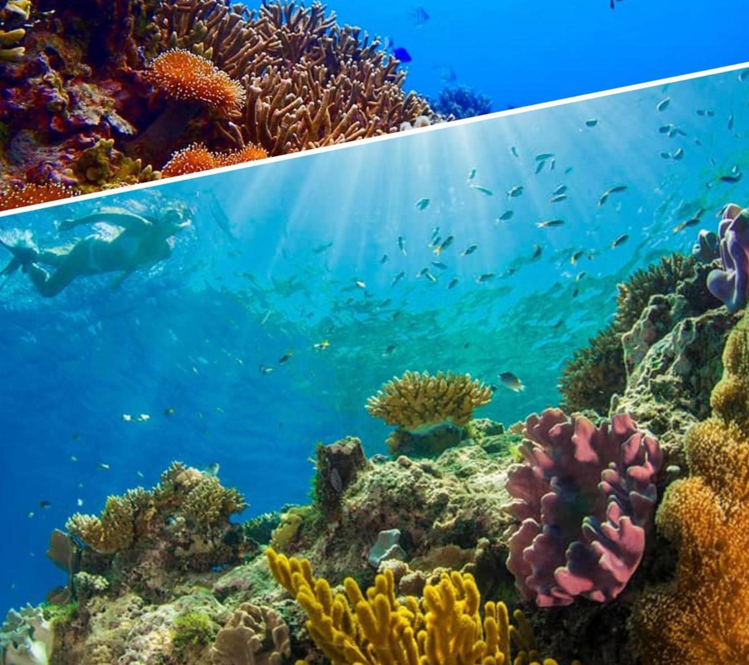 Dhiffushi Tourist Hotel - View 30