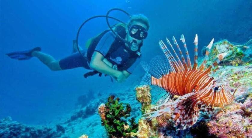 La Isla Bonita - View 6