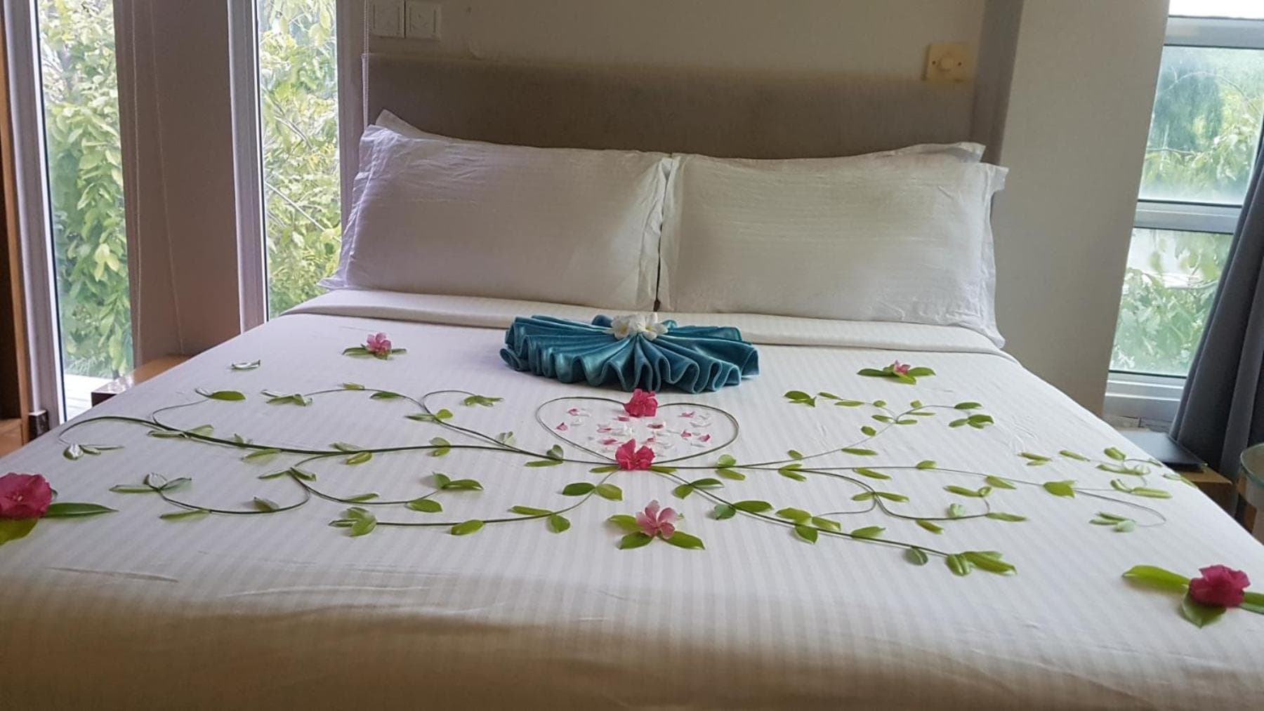 Hotel Star Shell - View 39