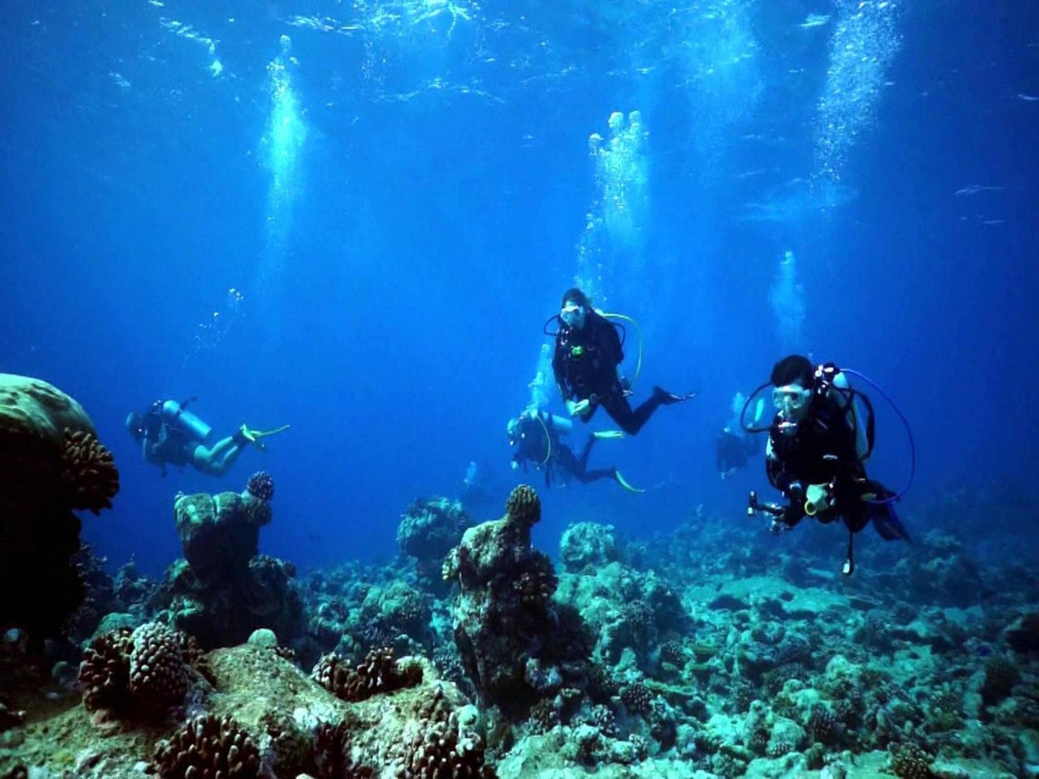 Vista Beach Retreat - View 39