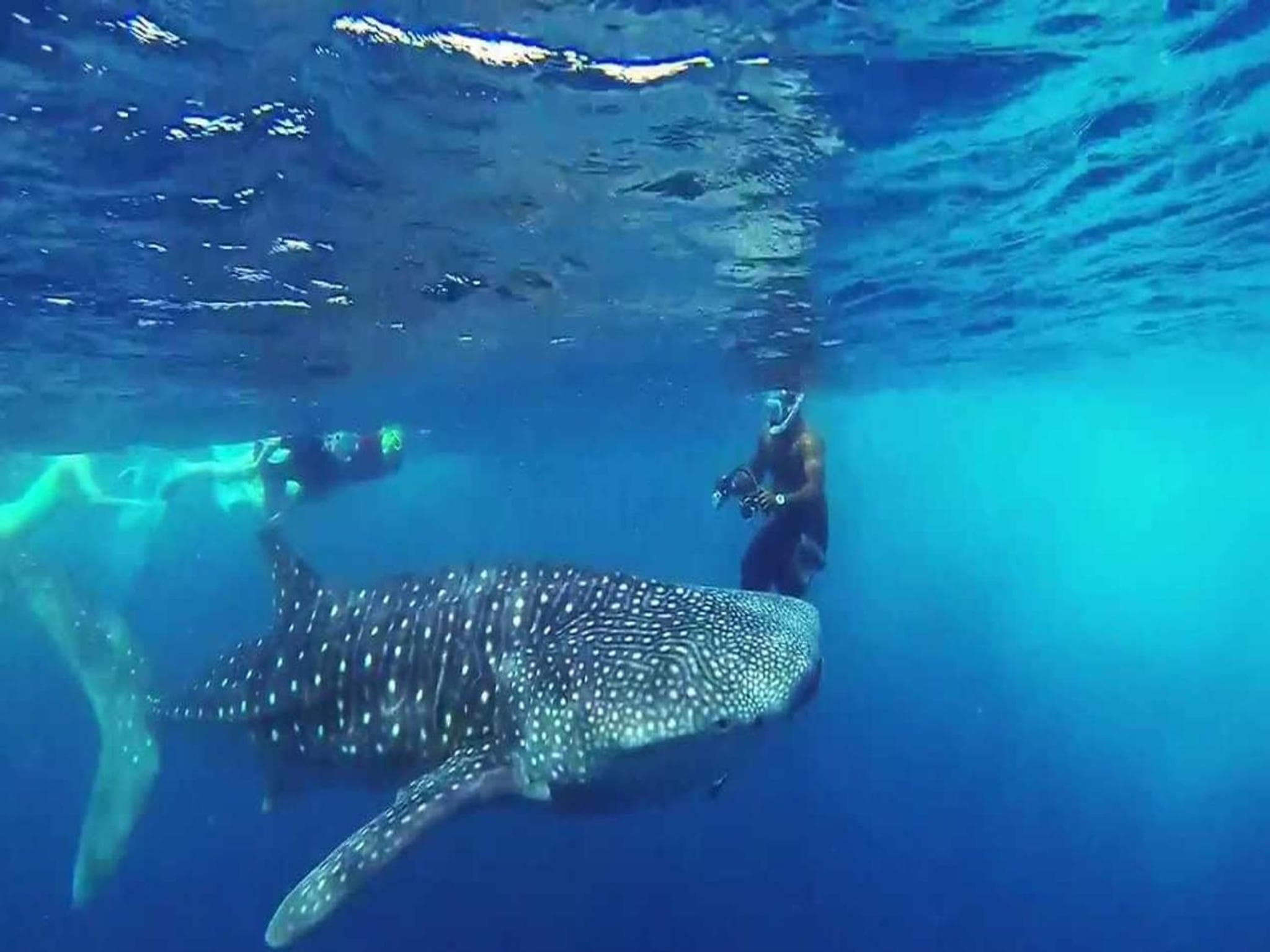 Vista Beach Retreat - View 40